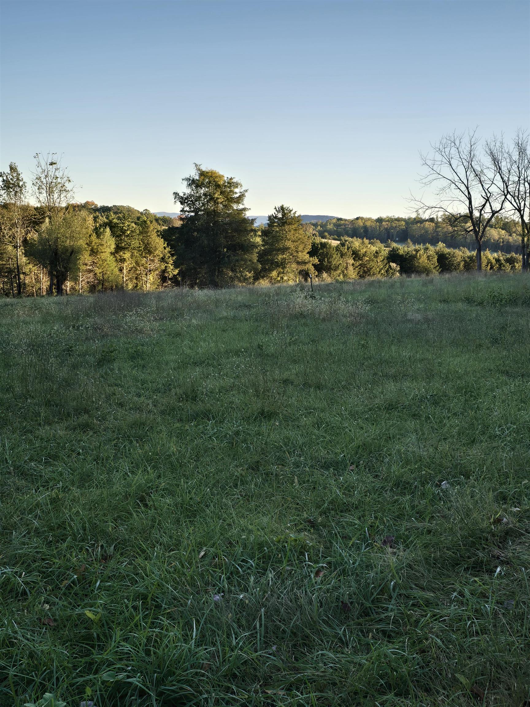 Lot 4 9acres BERRY FARM RD, STAUNTON, Virginia 24401, ,Land,The Premier Lot in Crown Ridge Estates,Lot 4 9acres BERRY FARM RD,683537 MLS # 683537 Lot 4 9acres BERRY FARM RD, STAUNTON, Virginia 24401, ,Land,The Premier Lot in Crown Ridge Estates,Lot 4 9acres BERRY FARM RD,683537 MLS # 683537