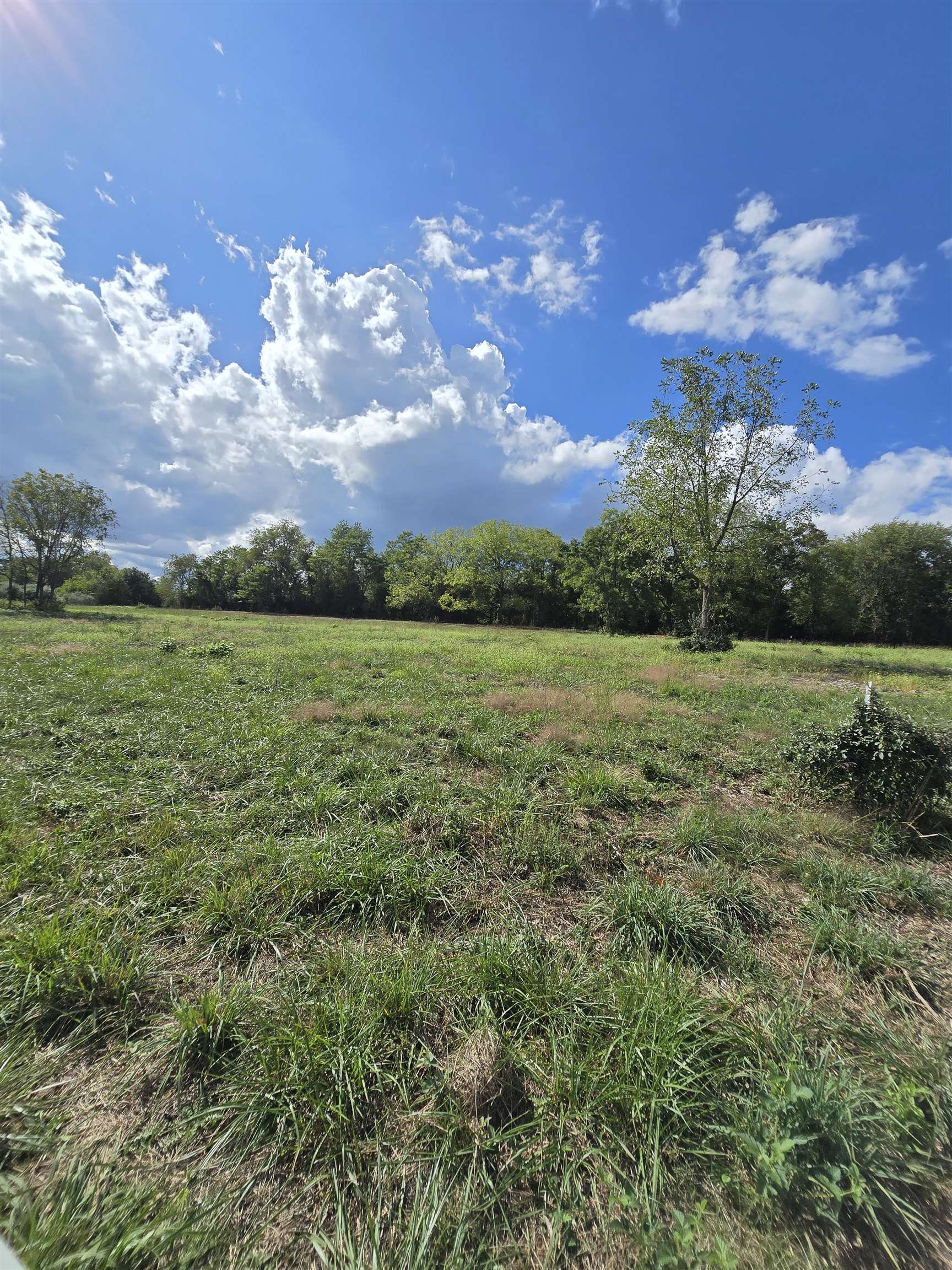 Lot 4 9acres BERRY FARM RD, STAUNTON, Virginia 24401, ,Land,The Premier Lot in Crown Ridge Estates,Lot 4 9acres BERRY FARM RD,683537 MLS # 683537 Lot 4 9acres BERRY FARM RD, STAUNTON, Virginia 24401, ,Land,The Premier Lot in Crown Ridge Estates,Lot 4 9acres BERRY FARM RD,683537 MLS # 683537