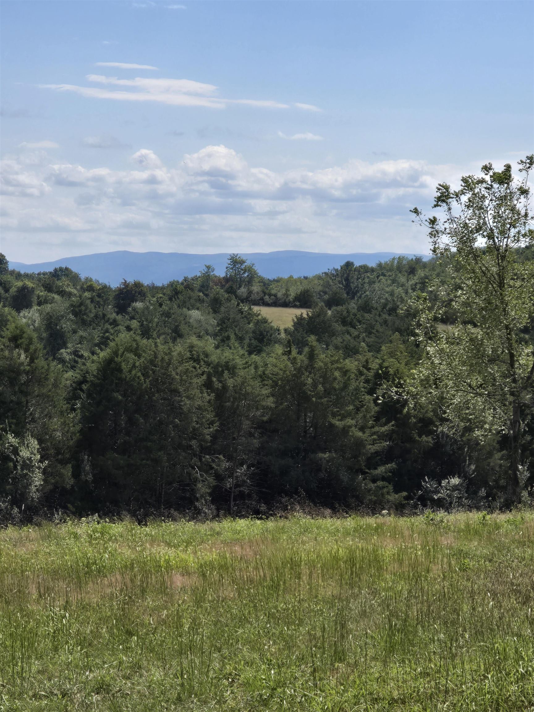 Lot 5 ~5.79 acr BERRY FARM RD, STAUNTON, Virginia 24401, ,Land,Crown Ridge Estates Lot 5,Lot 5 ~5.79 acr BERRY FARM RD,683540 MLS # 683540 Lot 5 ~5.79 acr BERRY FARM RD, STAUNTON, Virginia 24401, ,Land,Crown Ridge Estates Lot 5,Lot 5 ~5.79 acr BERRY FARM RD,683540 MLS # 683540
