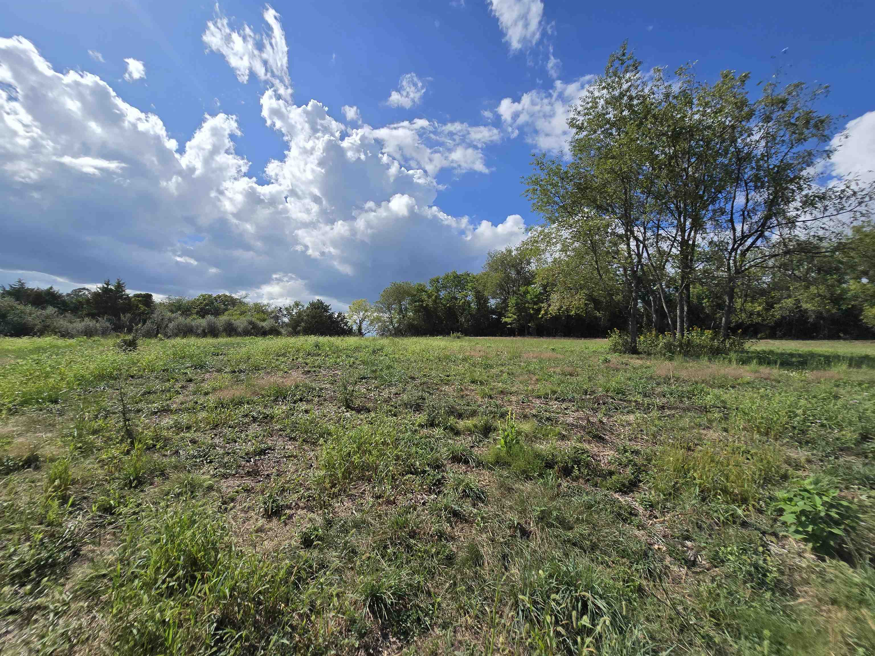 Lot 5 ~5.79 acr BERRY FARM RD, STAUNTON, Virginia 24401, ,Land,Crown Ridge Estates Lot 5,Lot 5 ~5.79 acr BERRY FARM RD,683540 MLS # 683540 Lot 5 ~5.79 acr BERRY FARM RD, STAUNTON, Virginia 24401, ,Land,Crown Ridge Estates Lot 5,Lot 5 ~5.79 acr BERRY FARM RD,683540 MLS # 683540