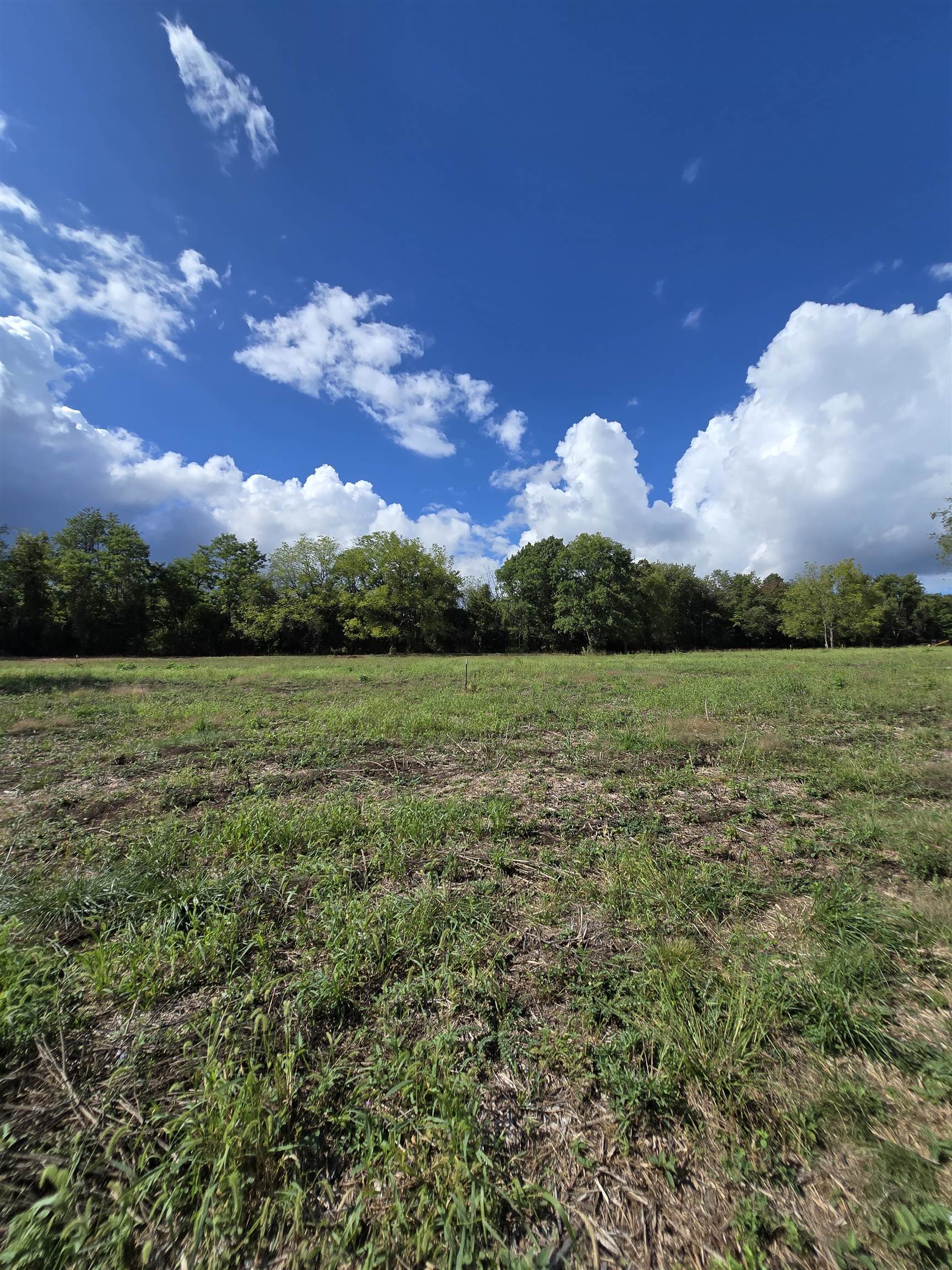 Lot 5 ~5.79 acr BERRY FARM RD, STAUNTON, Virginia 24401, ,Land,Crown Ridge Estates Lot 5,Lot 5 ~5.79 acr BERRY FARM RD,683540 MLS # 683540 Lot 5 ~5.79 acr BERRY FARM RD, STAUNTON, Virginia 24401, ,Land,Crown Ridge Estates Lot 5,Lot 5 ~5.79 acr BERRY FARM RD,683540 MLS # 683540