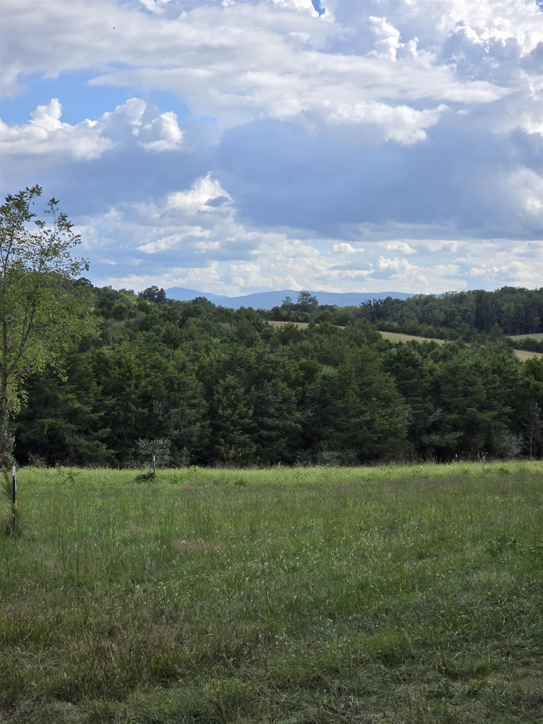 Lot 5 ~5.79 acr BERRY FARM RD, STAUNTON, Virginia 24401, ,Land,Crown Ridge Estates Lot 5,Lot 5 ~5.79 acr BERRY FARM RD,683540 MLS # 683540 Lot 5 ~5.79 acr BERRY FARM RD, STAUNTON, Virginia 24401, ,Land,Crown Ridge Estates Lot 5,Lot 5 ~5.79 acr BERRY FARM RD,683540 MLS # 683540