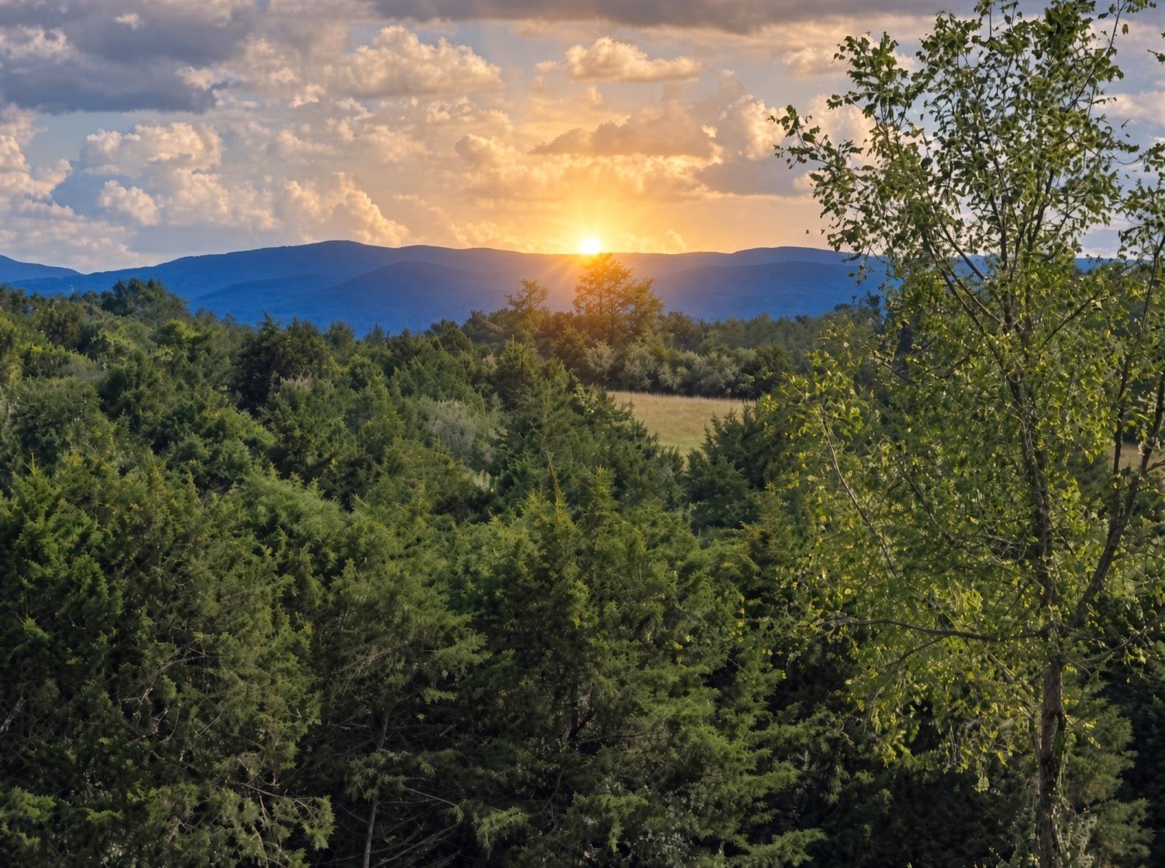 Lot 5 ~5.79 acr BERRY FARM RD, STAUNTON, Virginia 24401, ,Land,Crown Ridge Estates Lot 5,Lot 5 ~5.79 acr BERRY FARM RD,683540 MLS # 683540 Lot 5 ~5.79 acr BERRY FARM RD, STAUNTON, Virginia 24401, ,Land,Crown Ridge Estates Lot 5,Lot 5 ~5.79 acr BERRY FARM RD,683540 MLS # 683540
