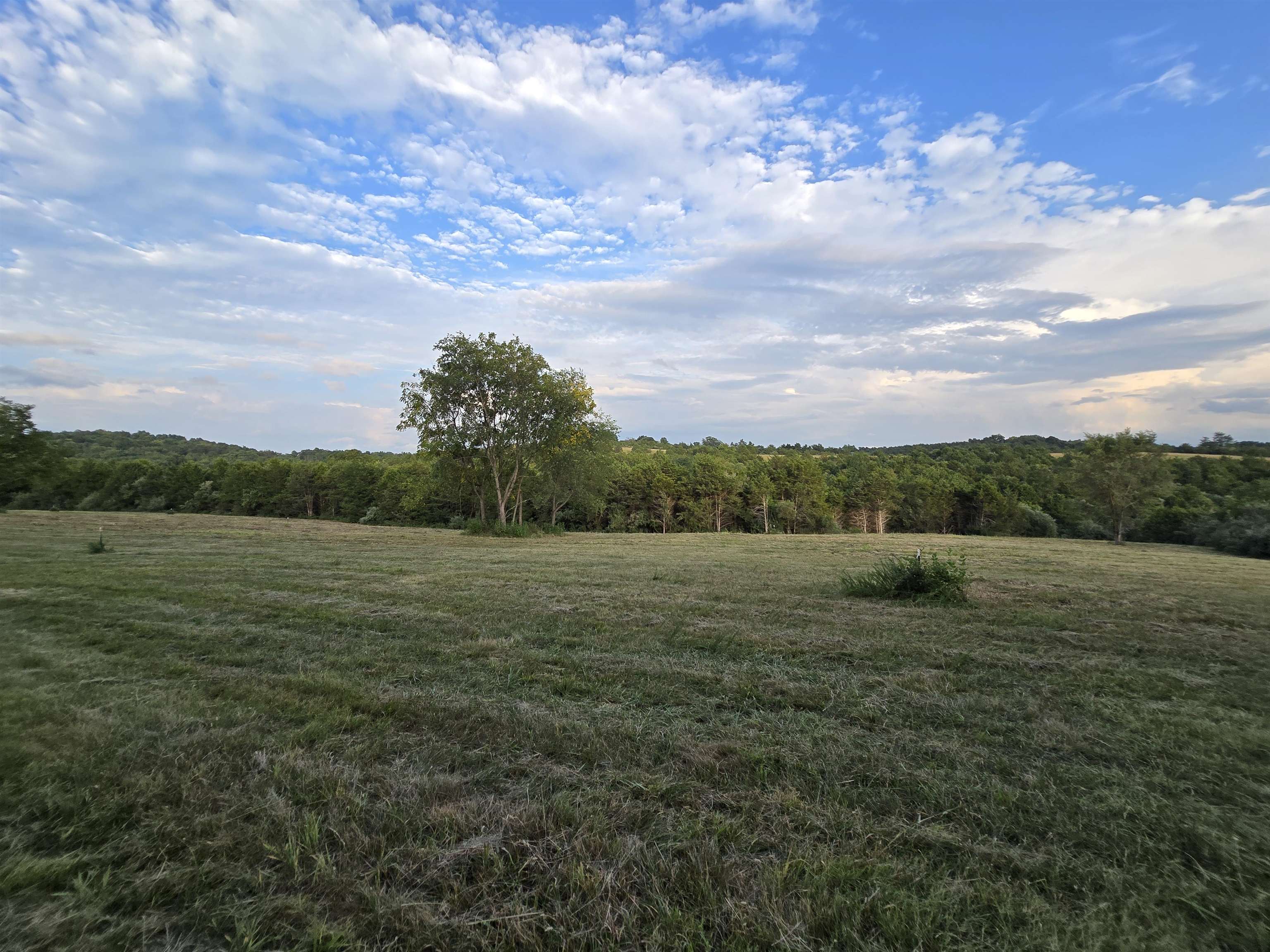 Lot 5 ~5.79 acr BERRY FARM RD, STAUNTON, Virginia 24401, ,Land,Crown Ridge Estates Lot 5,Lot 5 ~5.79 acr BERRY FARM RD,683540 MLS # 683540 Lot 5 ~5.79 acr BERRY FARM RD, STAUNTON, Virginia 24401, ,Land,Crown Ridge Estates Lot 5,Lot 5 ~5.79 acr BERRY FARM RD,683540 MLS # 683540