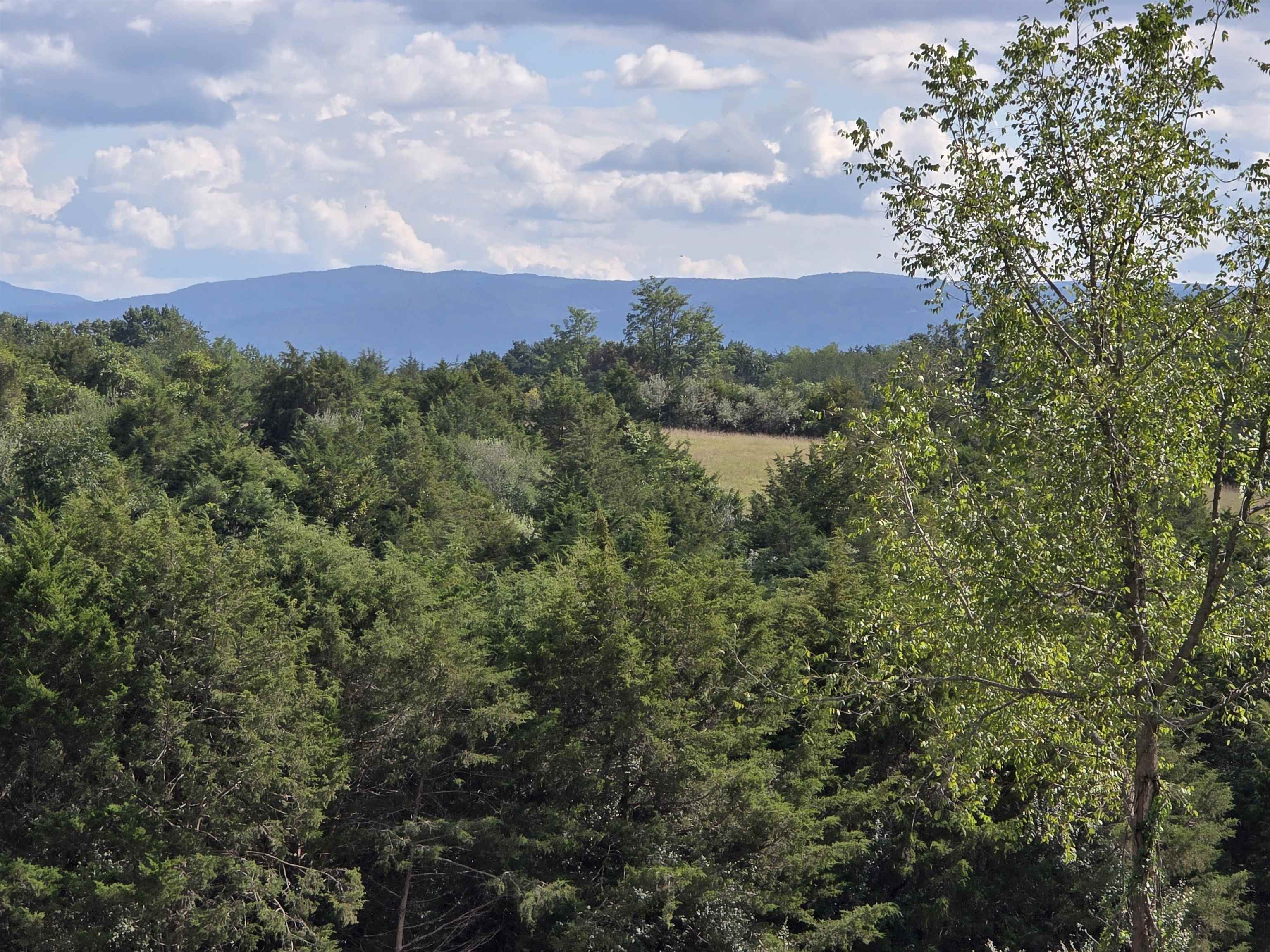 Lot 5 ~5.79 acr BERRY FARM RD, STAUNTON, Virginia 24401, ,Land,Crown Ridge Estates Lot 5,Lot 5 ~5.79 acr BERRY FARM RD,683540 MLS # 683540 Lot 5 ~5.79 acr BERRY FARM RD, STAUNTON, Virginia 24401, ,Land,Crown Ridge Estates Lot 5,Lot 5 ~5.79 acr BERRY FARM RD,683540 MLS # 683540
