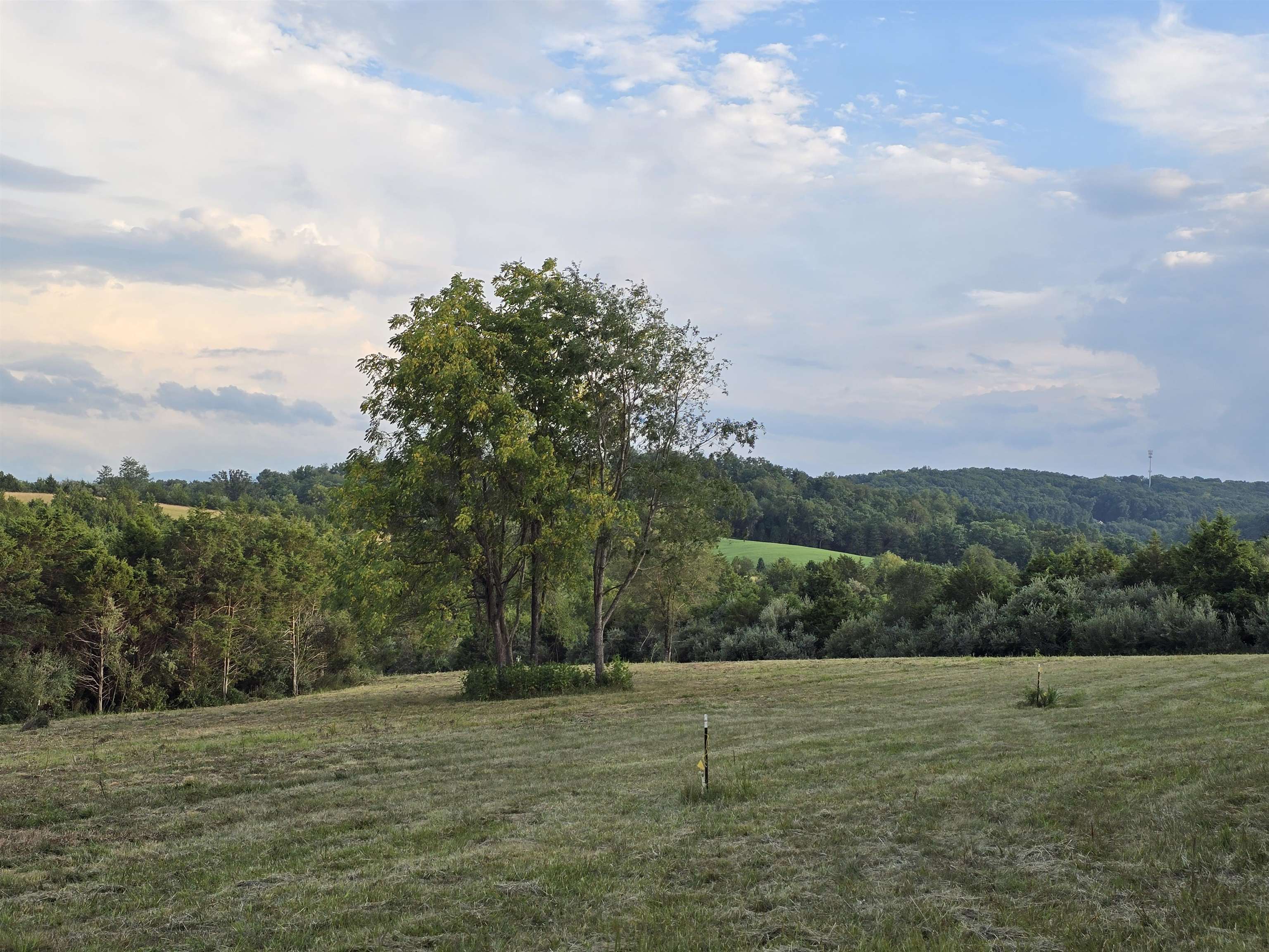 Lot 5 ~5.79 acr BERRY FARM RD, STAUNTON, Virginia 24401, ,Land,Crown Ridge Estates Lot 5,Lot 5 ~5.79 acr BERRY FARM RD,683540 MLS # 683540 Lot 5 ~5.79 acr BERRY FARM RD, STAUNTON, Virginia 24401, ,Land,Crown Ridge Estates Lot 5,Lot 5 ~5.79 acr BERRY FARM RD,683540 MLS # 683540
