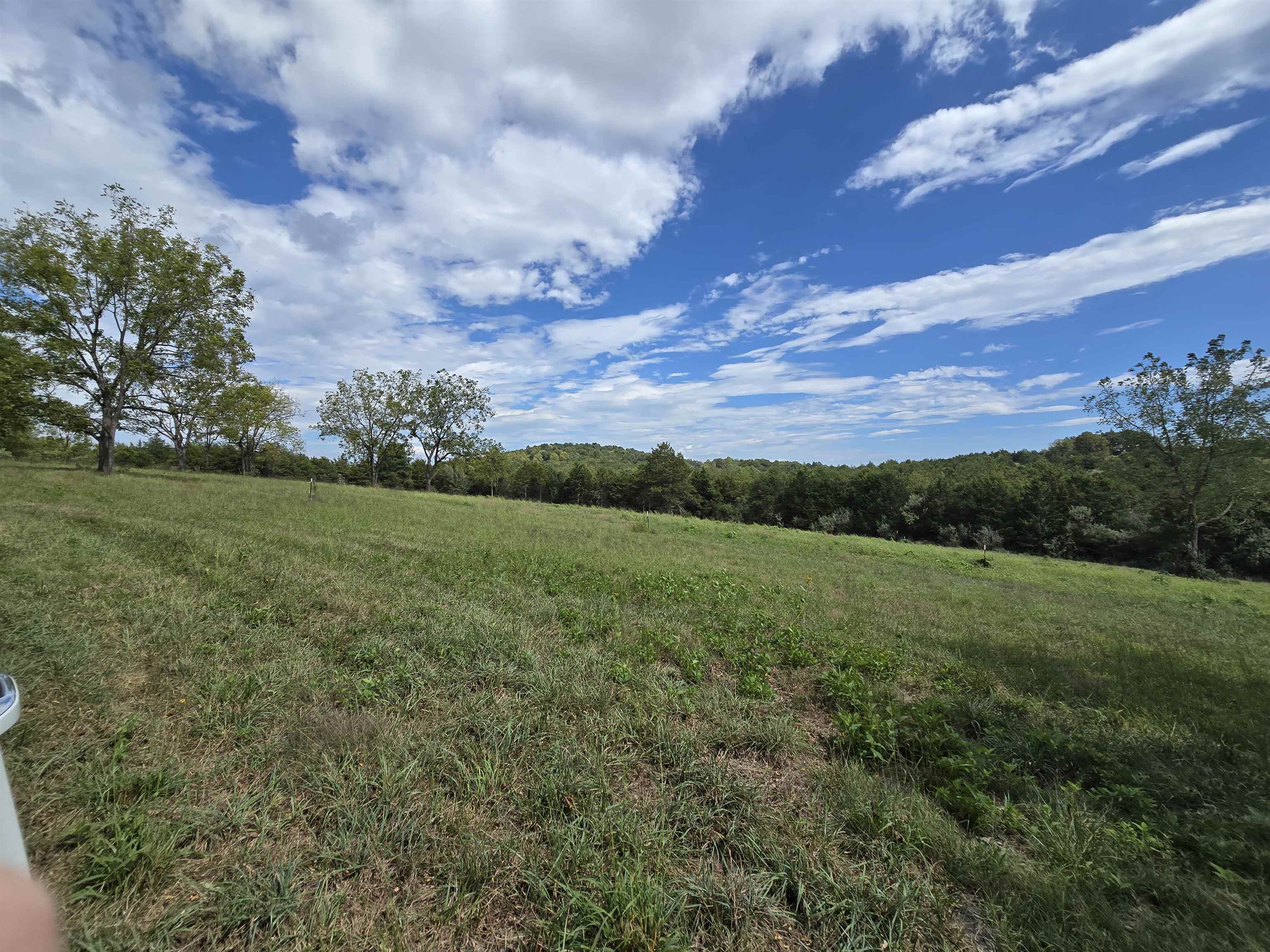 Lot 5 ~5.79 acr BERRY FARM RD, STAUNTON, Virginia 24401, ,Land,Crown Ridge Estates Lot 5,Lot 5 ~5.79 acr BERRY FARM RD,683540 MLS # 683540 Lot 5 ~5.79 acr BERRY FARM RD, STAUNTON, Virginia 24401, ,Land,Crown Ridge Estates Lot 5,Lot 5 ~5.79 acr BERRY FARM RD,683540 MLS # 683540