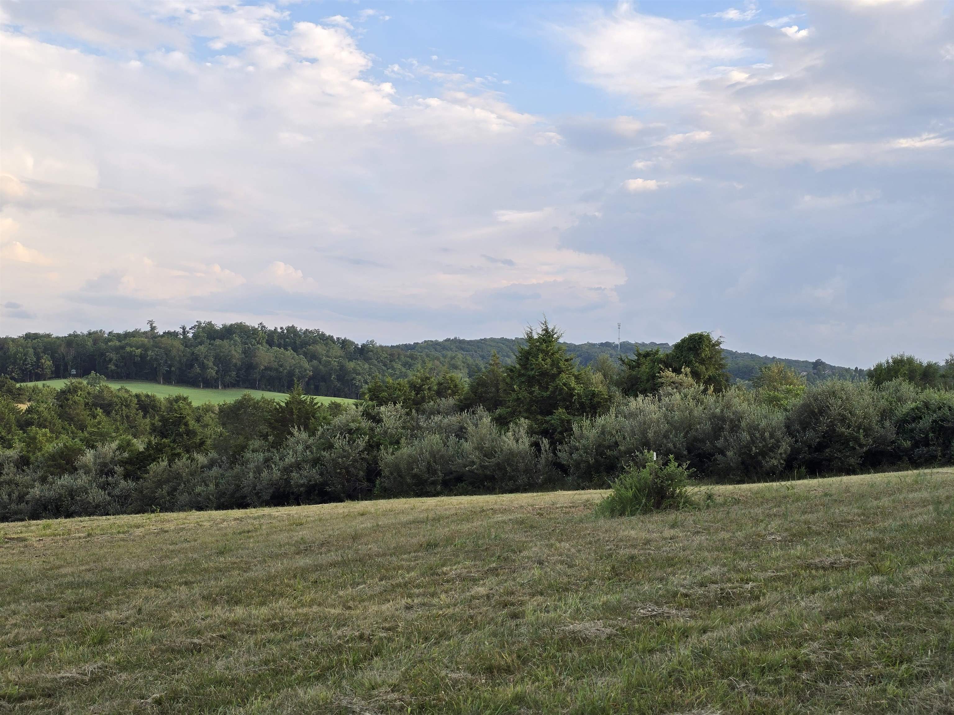 Lot 6 ~ 5 acres BERRY FARM RD, STAUNTON, Virginia 24401, ,Land,Crown Ridge Estates Lot 6,Lot 6 ~ 5 acres BERRY FARM RD,683541 MLS # 683541 Lot 6 ~ 5 acres BERRY FARM RD, STAUNTON, Virginia 24401, ,Land,Crown Ridge Estates Lot 6,Lot 6 ~ 5 acres BERRY FARM RD,683541 MLS # 683541