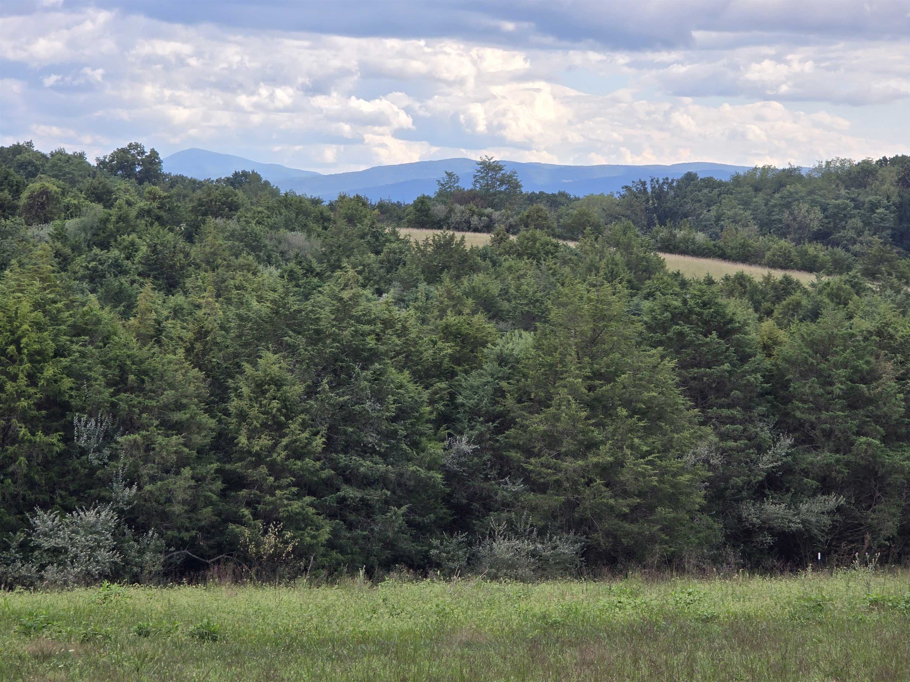 Lot 6 ~ 5 acres BERRY FARM RD, STAUNTON, Virginia 24401, ,Land,Crown Ridge Estates Lot 6,Lot 6 ~ 5 acres BERRY FARM RD,683541 MLS # 683541 Lot 6 ~ 5 acres BERRY FARM RD, STAUNTON, Virginia 24401, ,Land,Crown Ridge Estates Lot 6,Lot 6 ~ 5 acres BERRY FARM RD,683541 MLS # 683541