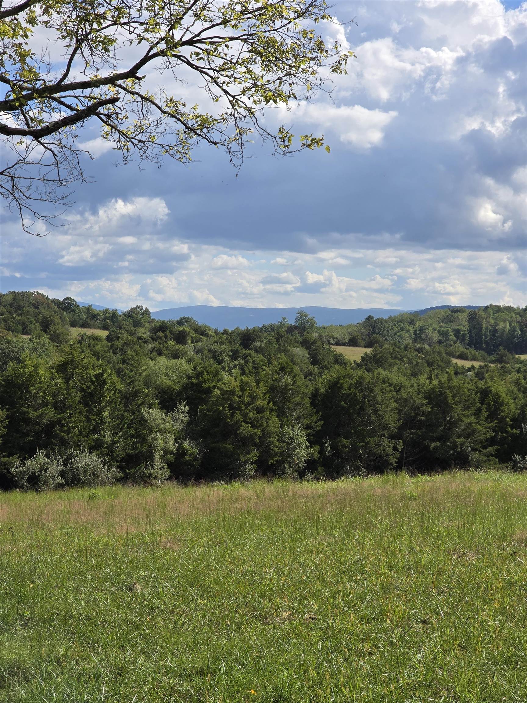 Lot 6 ~ 5 acres BERRY FARM RD, STAUNTON, Virginia 24401, ,Land,Crown Ridge Estates Lot 6,Lot 6 ~ 5 acres BERRY FARM RD,683541 MLS # 683541 Lot 6 ~ 5 acres BERRY FARM RD, STAUNTON, Virginia 24401, ,Land,Crown Ridge Estates Lot 6,Lot 6 ~ 5 acres BERRY FARM RD,683541 MLS # 683541