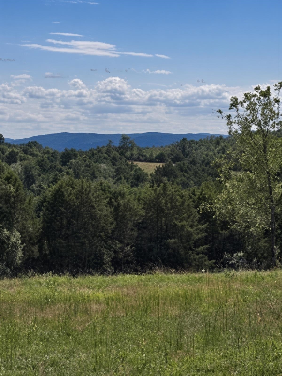 Lot 6 ~ 5 acres BERRY FARM RD, STAUNTON, Virginia 24401, ,Land,Crown Ridge Estates Lot 6,Lot 6 ~ 5 acres BERRY FARM RD,683541 MLS # 683541 Lot 6 ~ 5 acres BERRY FARM RD, STAUNTON, Virginia 24401, ,Land,Crown Ridge Estates Lot 6,Lot 6 ~ 5 acres BERRY FARM RD,683541 MLS # 683541