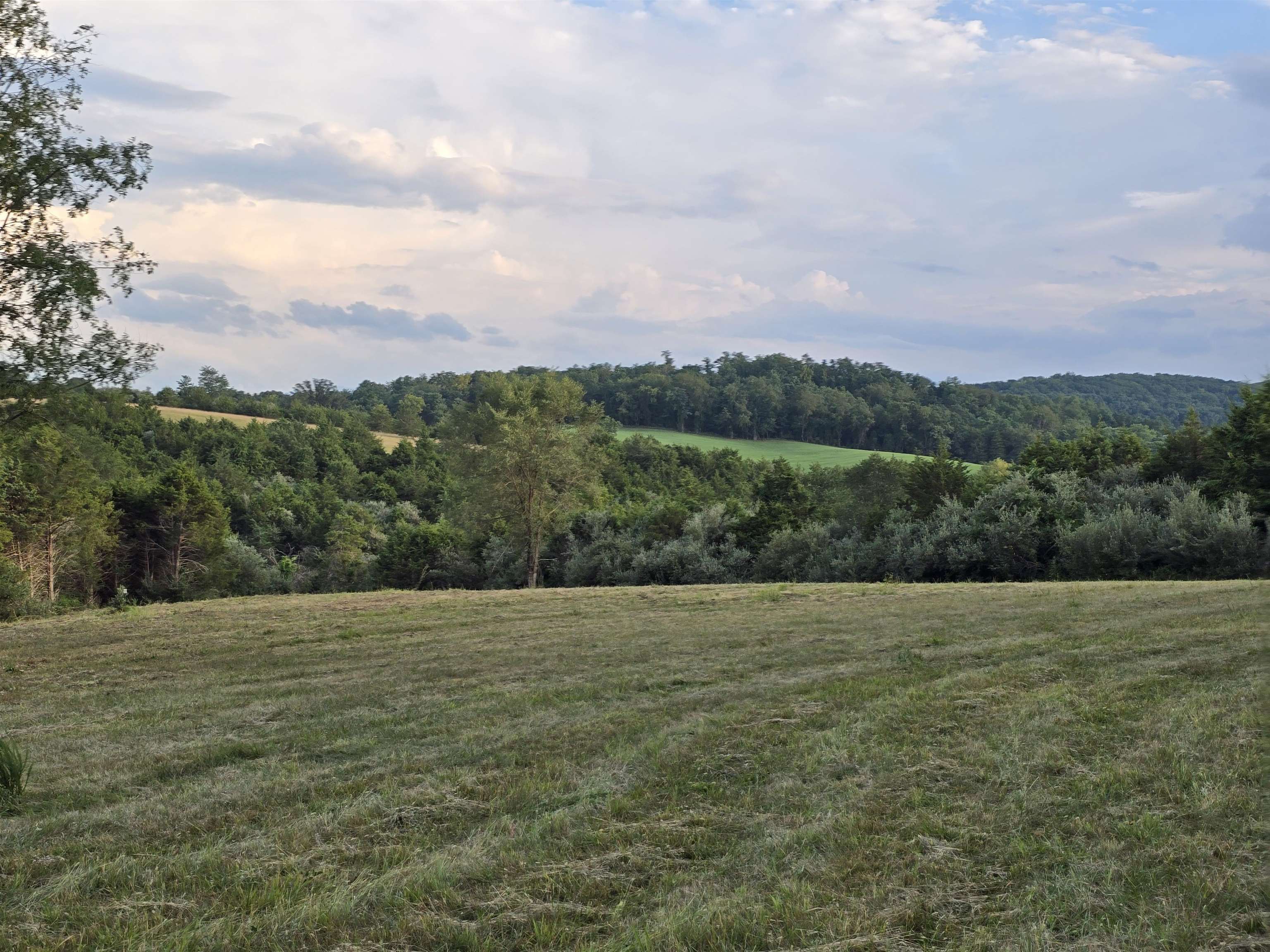 Lot 6 ~ 5 acres BERRY FARM RD, STAUNTON, Virginia 24401, ,Land,Crown Ridge Estates Lot 6,Lot 6 ~ 5 acres BERRY FARM RD,683541 MLS # 683541 Lot 6 ~ 5 acres BERRY FARM RD, STAUNTON, Virginia 24401, ,Land,Crown Ridge Estates Lot 6,Lot 6 ~ 5 acres BERRY FARM RD,683541 MLS # 683541