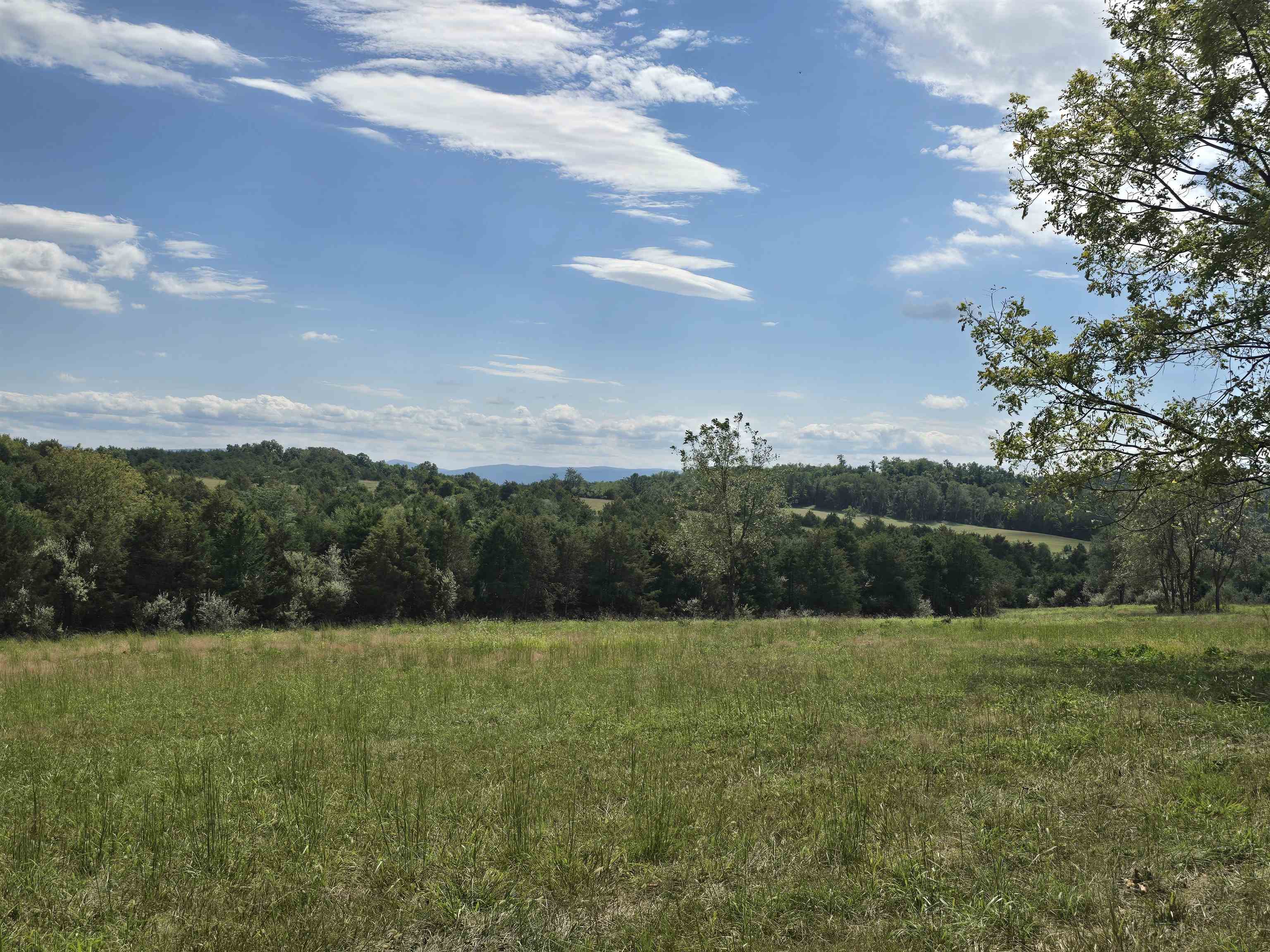 Lot 6 ~ 5 acres BERRY FARM RD, STAUNTON, Virginia 24401, ,Land,Crown Ridge Estates Lot 6,Lot 6 ~ 5 acres BERRY FARM RD,683541 MLS # 683541 Lot 6 ~ 5 acres BERRY FARM RD, STAUNTON, Virginia 24401, ,Land,Crown Ridge Estates Lot 6,Lot 6 ~ 5 acres BERRY FARM RD,683541 MLS # 683541