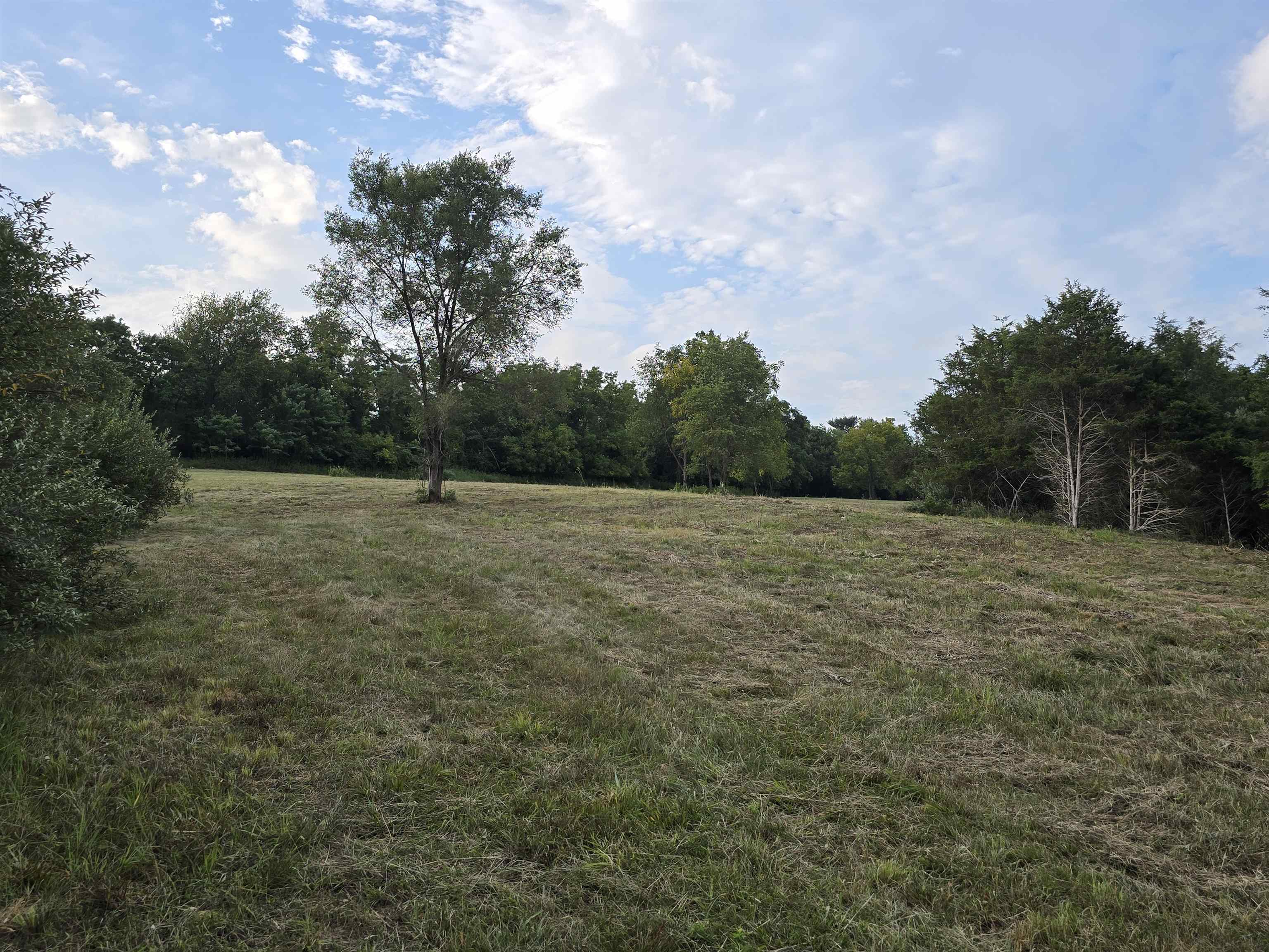 Lot 6 ~ 5 acres BERRY FARM RD, STAUNTON, Virginia 24401, ,Land,Crown Ridge Estates Lot 6,Lot 6 ~ 5 acres BERRY FARM RD,683541 MLS # 683541 Lot 6 ~ 5 acres BERRY FARM RD, STAUNTON, Virginia 24401, ,Land,Crown Ridge Estates Lot 6,Lot 6 ~ 5 acres BERRY FARM RD,683541 MLS # 683541