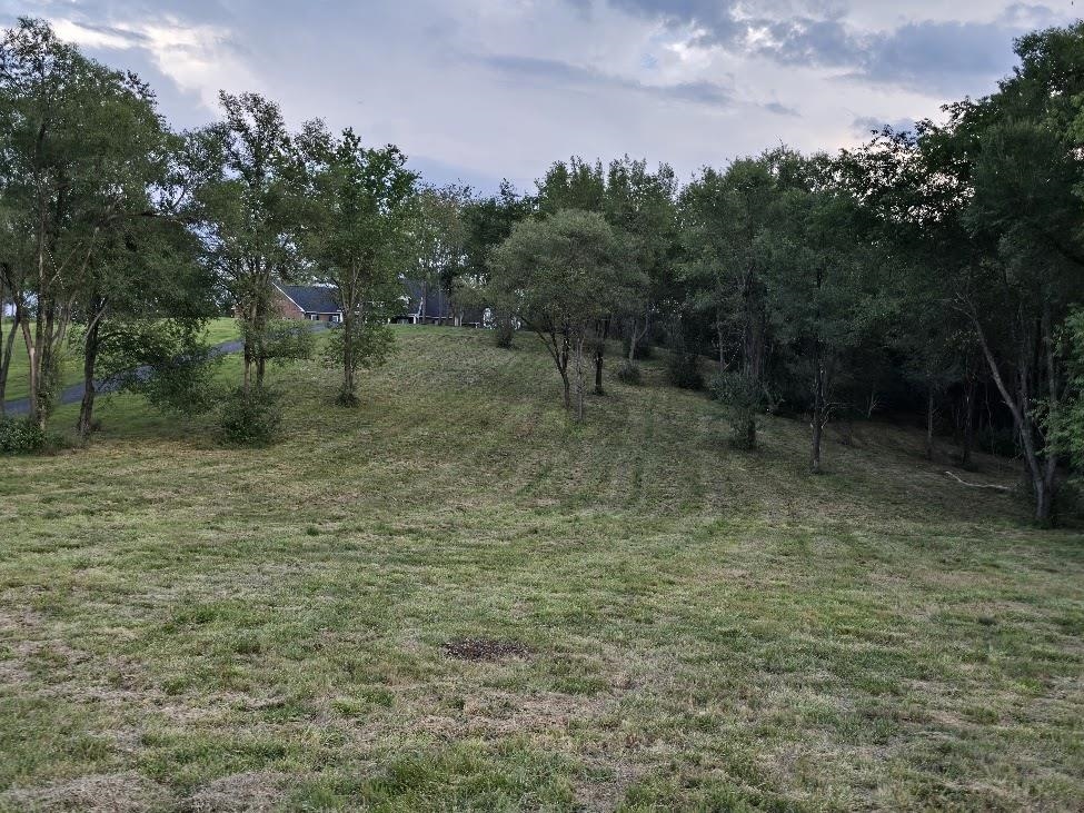 3 ac Lot 12 Rev BERRY FARM RD, STAUNTON, Virginia 24401, ,Land,Crown Ridge Estates 3.0 ACRES Proposed Revision of,3 ac Lot 12 Rev BERRY FARM RD,683543 MLS # 683543 3 ac Lot 12 Rev BERRY FARM RD, STAUNTON, Virginia 24401, ,Land,Crown Ridge Estates 3.0 ACRES Proposed Revision of,3 ac Lot 12 Rev BERRY FARM RD,683543 MLS # 683543