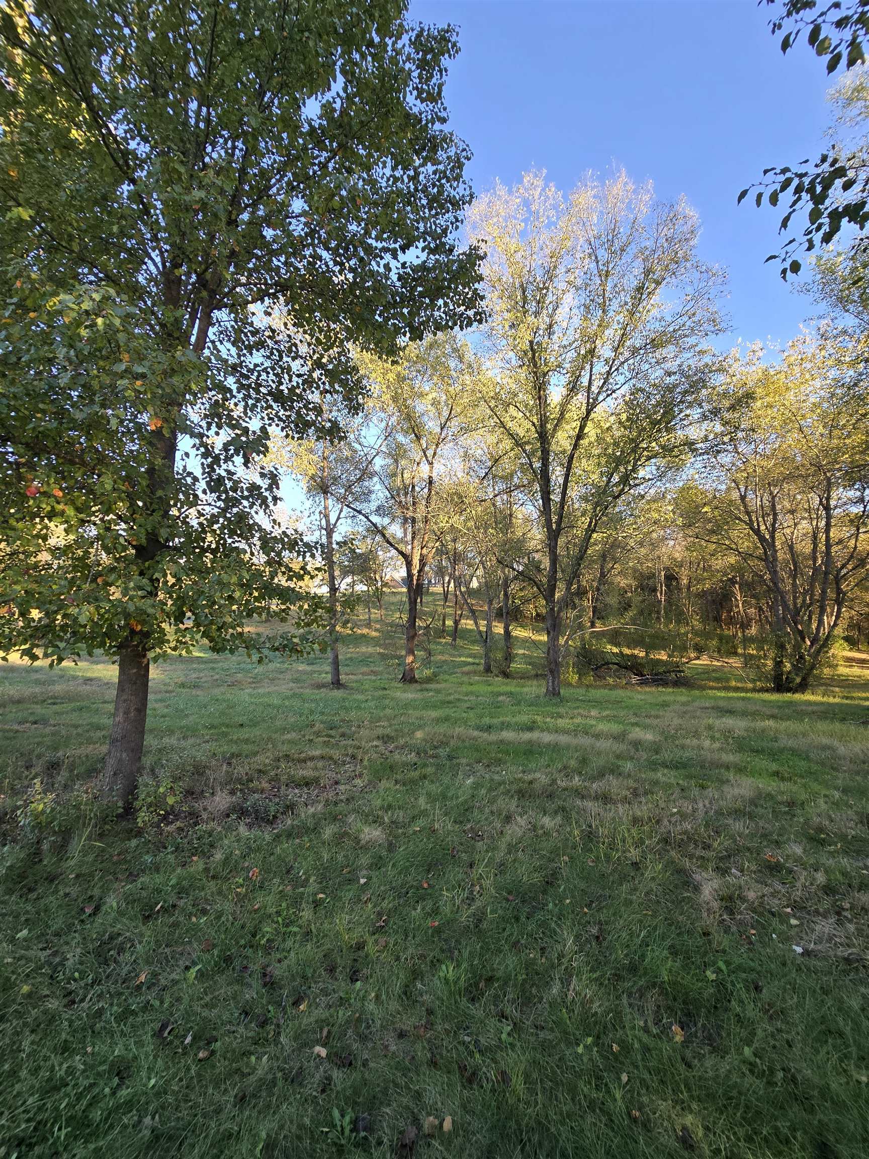 3 ac Lot 12 Rev BERRY FARM RD, STAUNTON, Virginia 24401, ,Land,Crown Ridge Estates 3.0 ACRES Proposed Revision of,3 ac Lot 12 Rev BERRY FARM RD,683543 MLS # 683543 3 ac Lot 12 Rev BERRY FARM RD, STAUNTON, Virginia 24401, ,Land,Crown Ridge Estates 3.0 ACRES Proposed Revision of,3 ac Lot 12 Rev BERRY FARM RD,683543 MLS # 683543