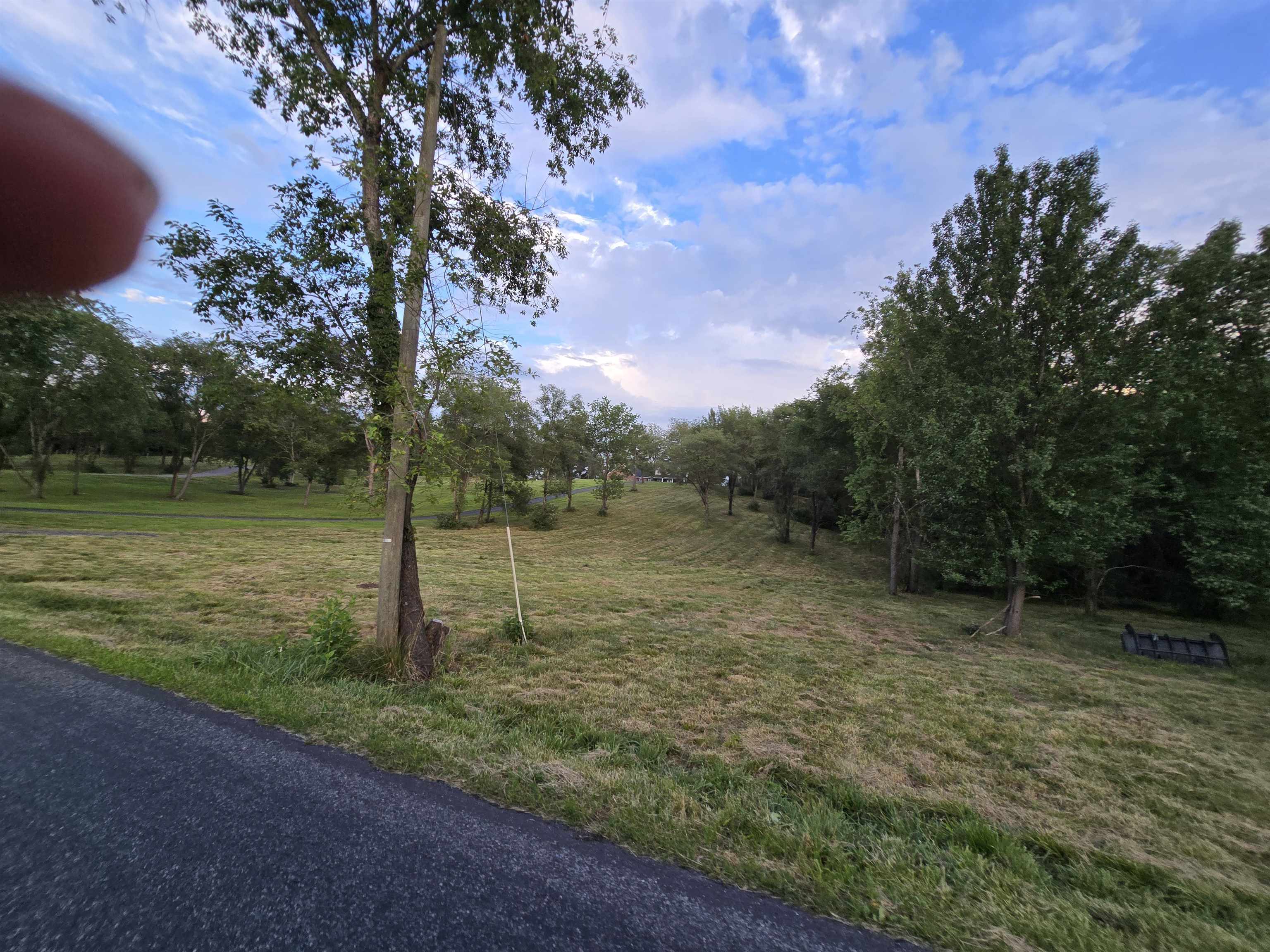 3 ac Lot 12 Rev BERRY FARM RD, STAUNTON, Virginia 24401, ,Land,Crown Ridge Estates 3.0 ACRES Proposed Revision of,3 ac Lot 12 Rev BERRY FARM RD,683543 MLS # 683543 3 ac Lot 12 Rev BERRY FARM RD, STAUNTON, Virginia 24401, ,Land,Crown Ridge Estates 3.0 ACRES Proposed Revision of,3 ac Lot 12 Rev BERRY FARM RD,683543 MLS # 683543