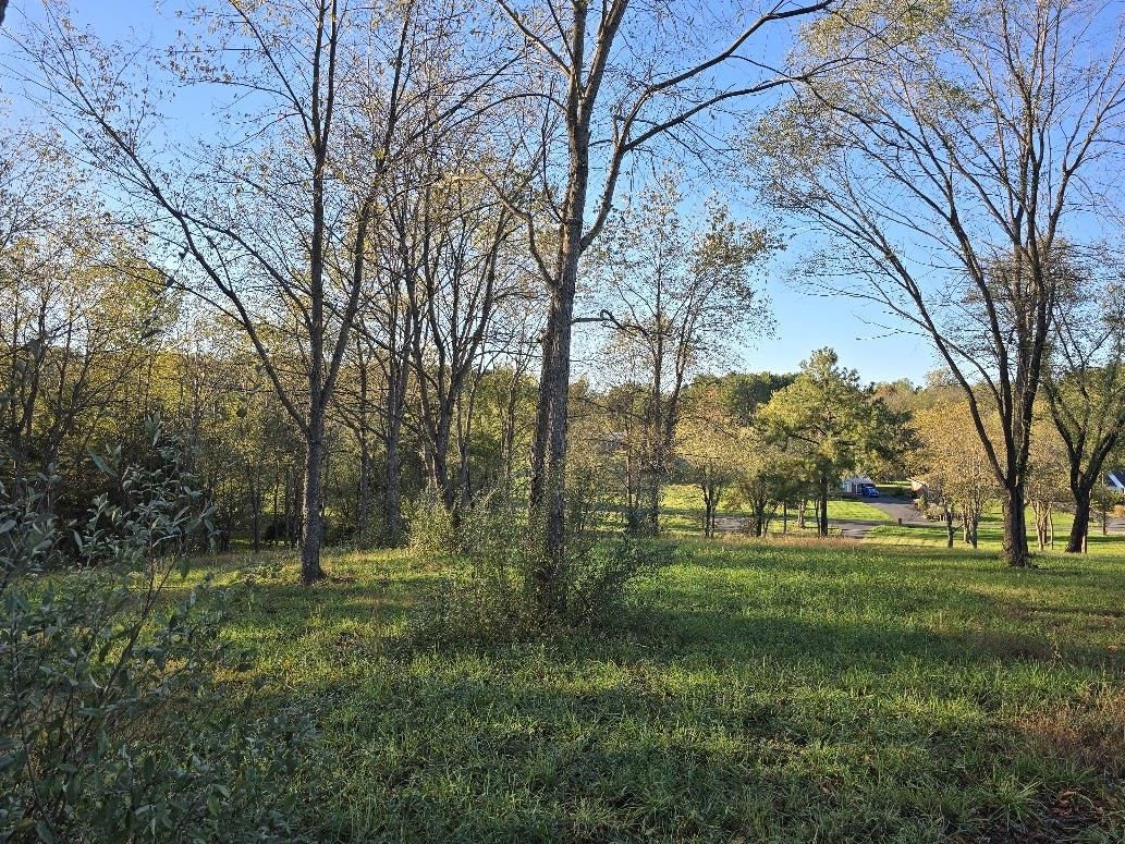3 ac Lot 12 Rev BERRY FARM RD, STAUNTON, Virginia 24401, ,Land,Crown Ridge Estates 3.0 ACRES Proposed Revision of,3 ac Lot 12 Rev BERRY FARM RD,683543 MLS # 683543 3 ac Lot 12 Rev BERRY FARM RD, STAUNTON, Virginia 24401, ,Land,Crown Ridge Estates 3.0 ACRES Proposed Revision of,3 ac Lot 12 Rev BERRY FARM RD,683543 MLS # 683543