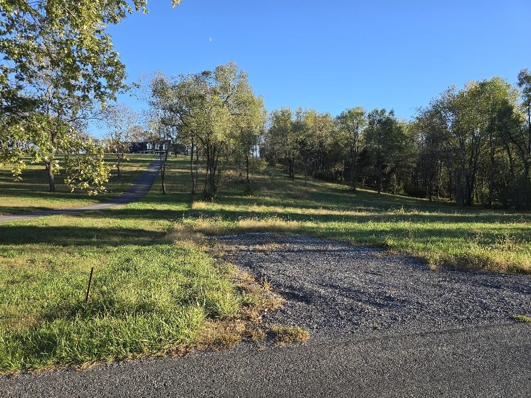 3 ac Lot 12 Rev BERRY FARM RD, STAUNTON, Virginia 24401, ,Land,Crown Ridge Estates 3.0 ACRES Proposed Revision of,3 ac Lot 12 Rev BERRY FARM RD,683543 MLS # 683543 3 ac Lot 12 Rev BERRY FARM RD, STAUNTON, Virginia 24401, ,Land,Crown Ridge Estates 3.0 ACRES Proposed Revision of,3 ac Lot 12 Rev BERRY FARM RD,683543 MLS # 683543