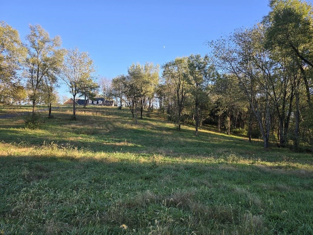 3 ac Lot 12 Rev BERRY FARM RD, STAUNTON, Virginia 24401, ,Land,Crown Ridge Estates 3.0 ACRES Proposed Revision of,3 ac Lot 12 Rev BERRY FARM RD,683543 MLS # 683543 3 ac Lot 12 Rev BERRY FARM RD, STAUNTON, Virginia 24401, ,Land,Crown Ridge Estates 3.0 ACRES Proposed Revision of,3 ac Lot 12 Rev BERRY FARM RD,683543 MLS # 683543