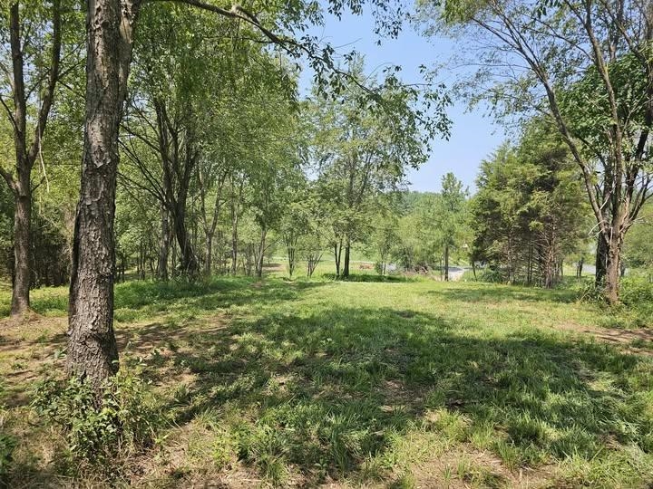 3 ac Lot 12 Rev BERRY FARM RD, STAUNTON, Virginia 24401, ,Land,Crown Ridge Estates 3.0 ACRES Proposed Revision of,3 ac Lot 12 Rev BERRY FARM RD,683543 MLS # 683543 3 ac Lot 12 Rev BERRY FARM RD, STAUNTON, Virginia 24401, ,Land,Crown Ridge Estates 3.0 ACRES Proposed Revision of,3 ac Lot 12 Rev BERRY FARM RD,683543 MLS # 683543
