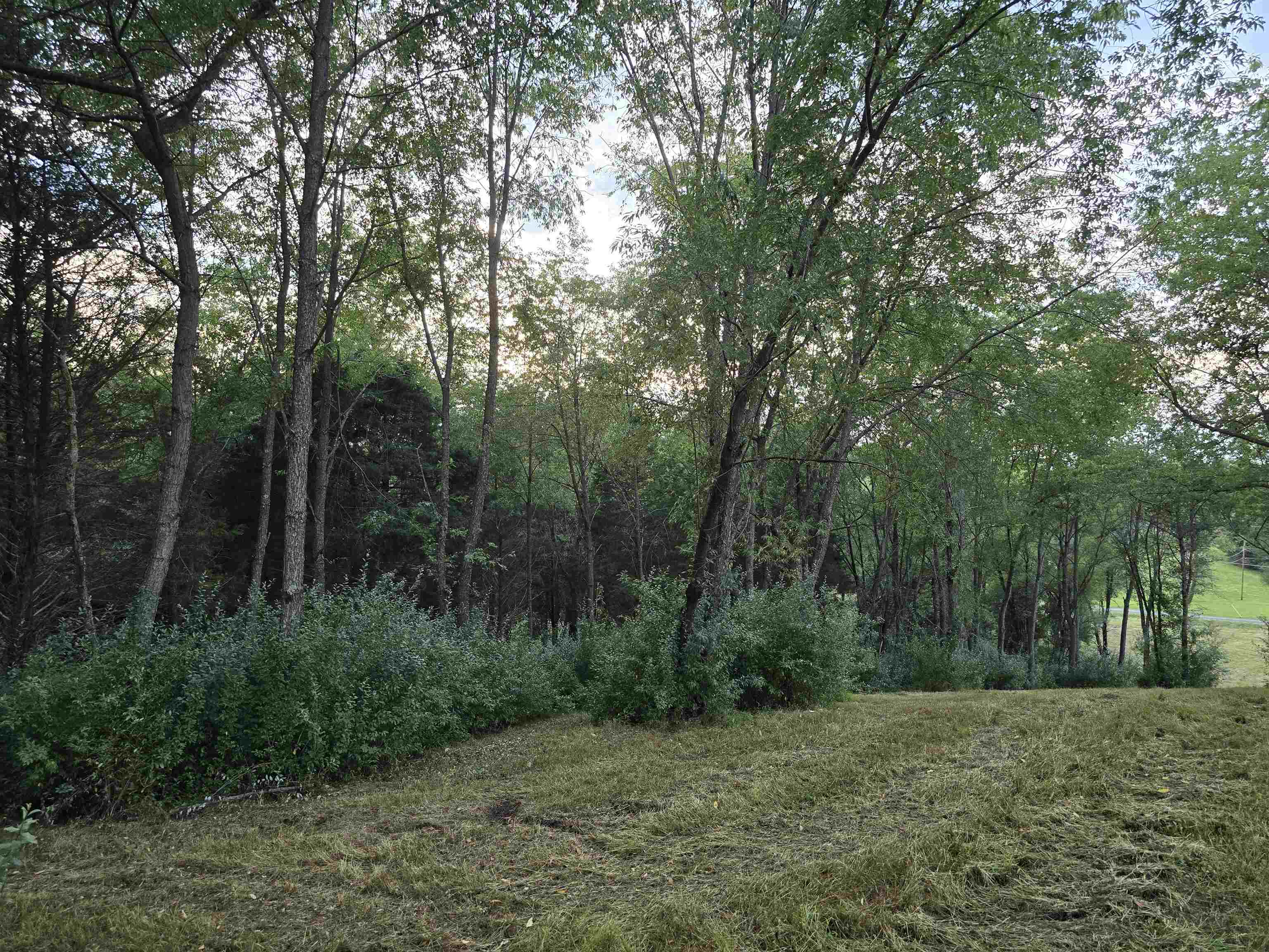 3 ac Lot 12 Rev BERRY FARM RD, STAUNTON, Virginia 24401, ,Land,Crown Ridge Estates 3.0 ACRES Proposed Revision of,3 ac Lot 12 Rev BERRY FARM RD,683543 MLS # 683543 3 ac Lot 12 Rev BERRY FARM RD, STAUNTON, Virginia 24401, ,Land,Crown Ridge Estates 3.0 ACRES Proposed Revision of,3 ac Lot 12 Rev BERRY FARM RD,683543 MLS # 683543