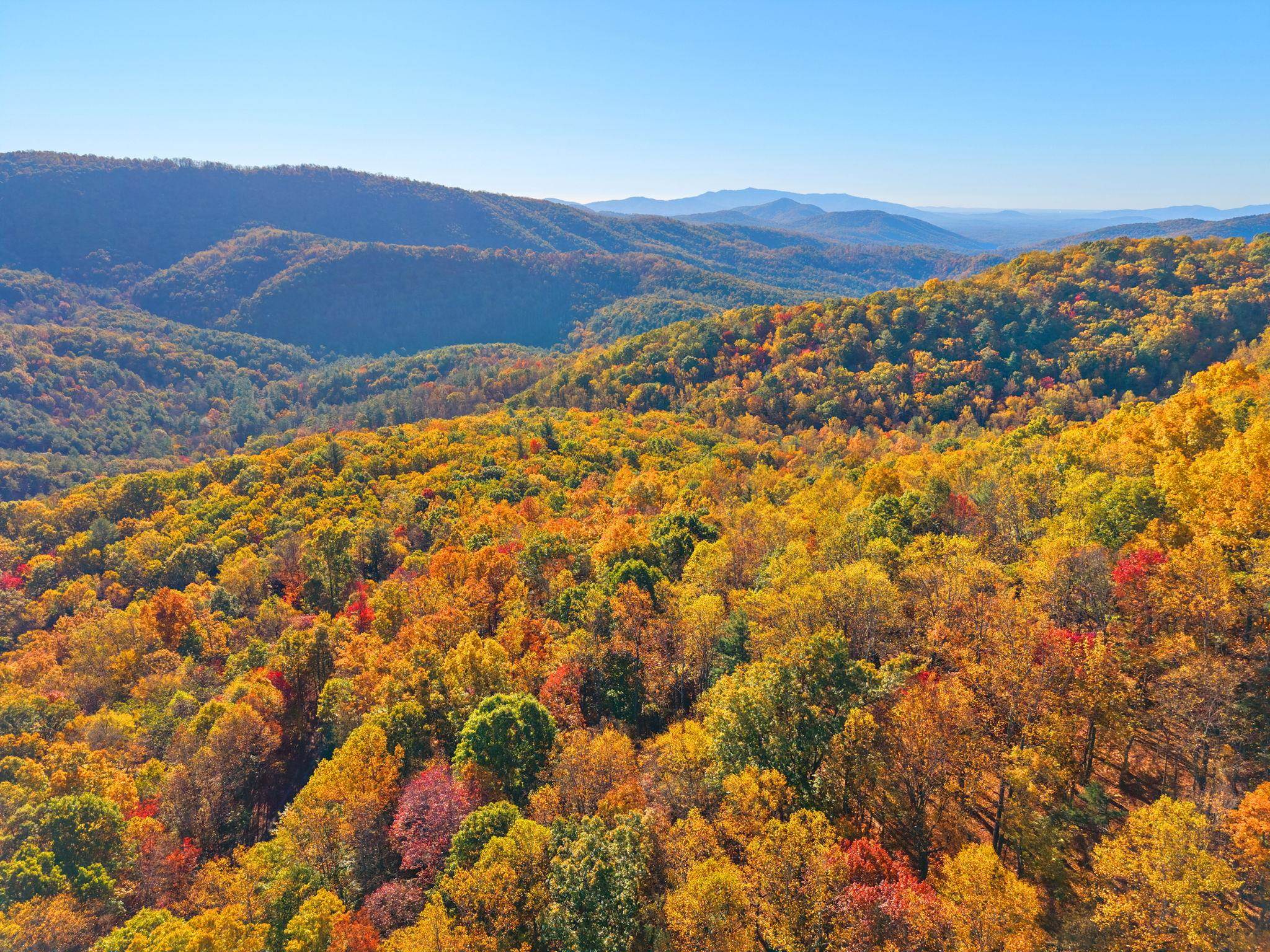 268 LAUREL HOLLOW RD, VESUVIUS, Virginia 24483, 3 Bedrooms Bedrooms, ,3 BathroomsBathrooms,Residential,OWL'S NEST,268 LAUREL HOLLOW RD,683548 MLS # 683548 268 LAUREL HOLLOW RD, VESUVIUS, Virginia 24483, 3 Bedrooms Bedrooms, ,3 BathroomsBathrooms,Residential,OWL'S NEST,268 LAUREL HOLLOW RD,683548 MLS # 683548
