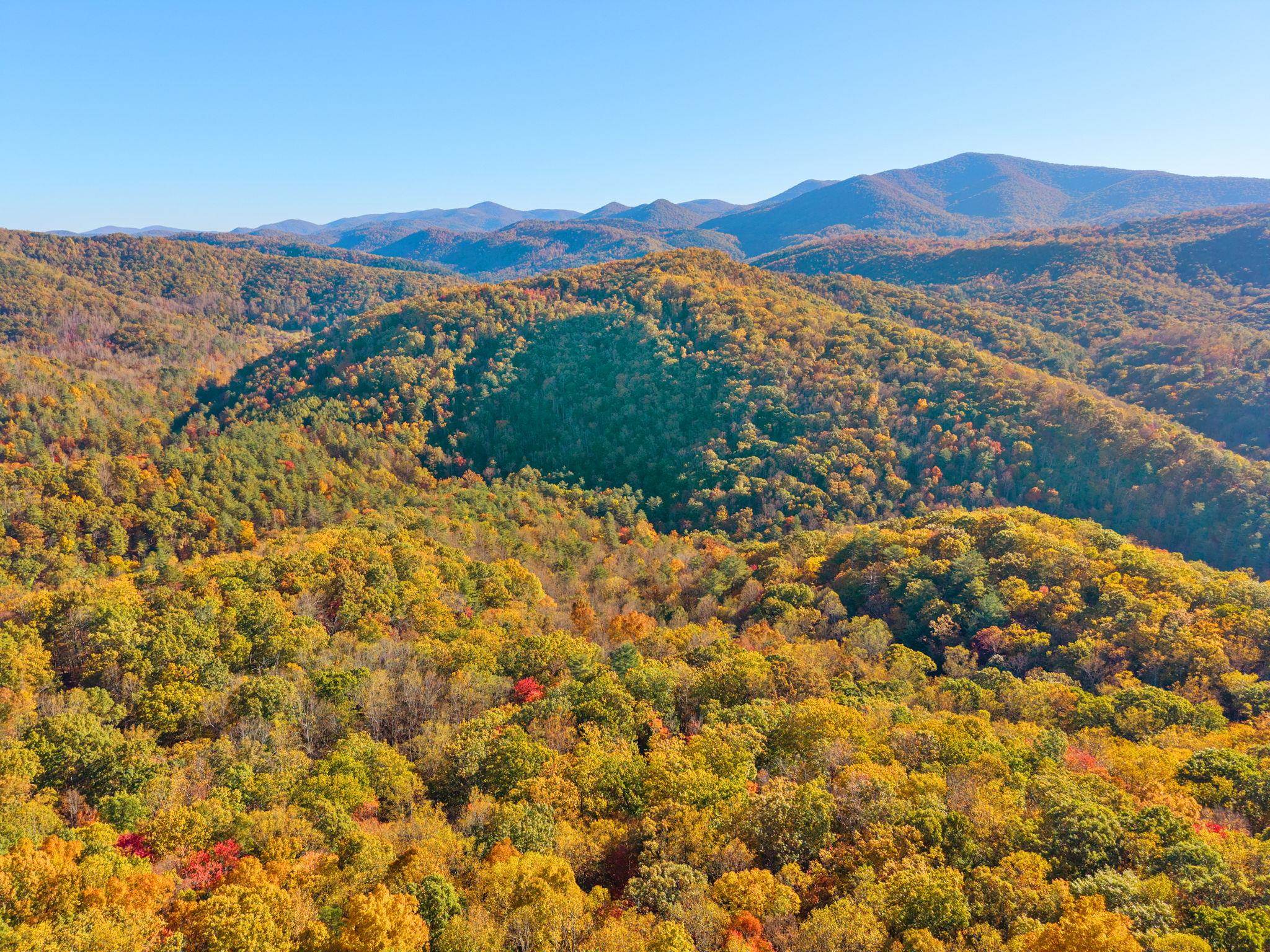 268 LAUREL HOLLOW RD, VESUVIUS, Virginia 24483, 3 Bedrooms Bedrooms, ,3 BathroomsBathrooms,Residential,OWL'S NEST,268 LAUREL HOLLOW RD,683548 MLS # 683548 268 LAUREL HOLLOW RD, VESUVIUS, Virginia 24483, 3 Bedrooms Bedrooms, ,3 BathroomsBathrooms,Residential,OWL'S NEST,268 LAUREL HOLLOW RD,683548 MLS # 683548