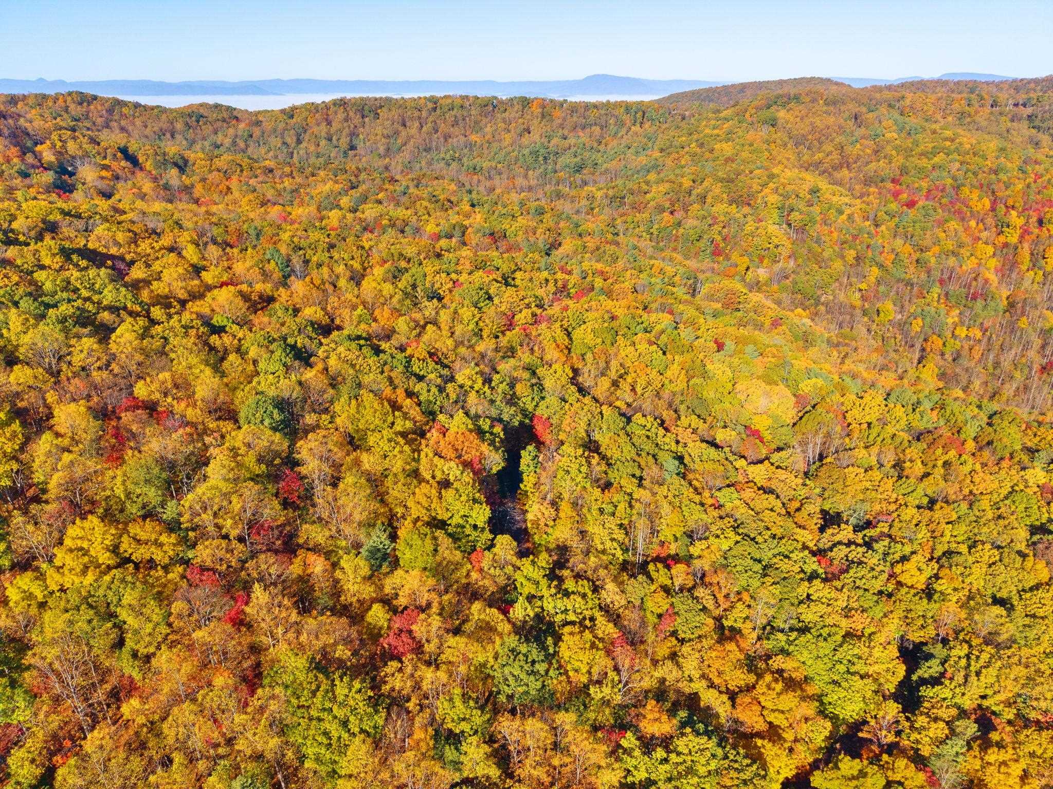 268 LAUREL HOLLOW RD, VESUVIUS, Virginia 24483, 3 Bedrooms Bedrooms, ,3 BathroomsBathrooms,Residential,OWL'S NEST,268 LAUREL HOLLOW RD,683548 MLS # 683548 268 LAUREL HOLLOW RD, VESUVIUS, Virginia 24483, 3 Bedrooms Bedrooms, ,3 BathroomsBathrooms,Residential,OWL'S NEST,268 LAUREL HOLLOW RD,683548 MLS # 683548
