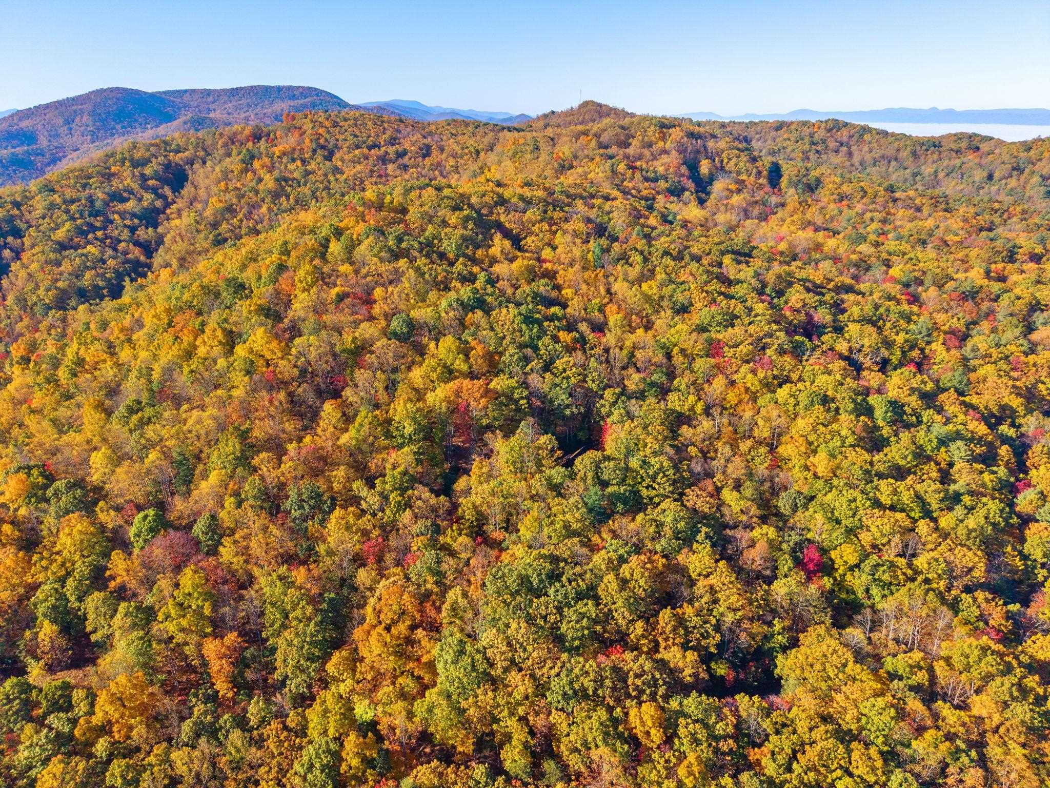 268 LAUREL HOLLOW RD, VESUVIUS, Virginia 24483, 3 Bedrooms Bedrooms, ,3 BathroomsBathrooms,Residential,OWL'S NEST,268 LAUREL HOLLOW RD,683548 MLS # 683548 268 LAUREL HOLLOW RD, VESUVIUS, Virginia 24483, 3 Bedrooms Bedrooms, ,3 BathroomsBathrooms,Residential,OWL'S NEST,268 LAUREL HOLLOW RD,683548 MLS # 683548