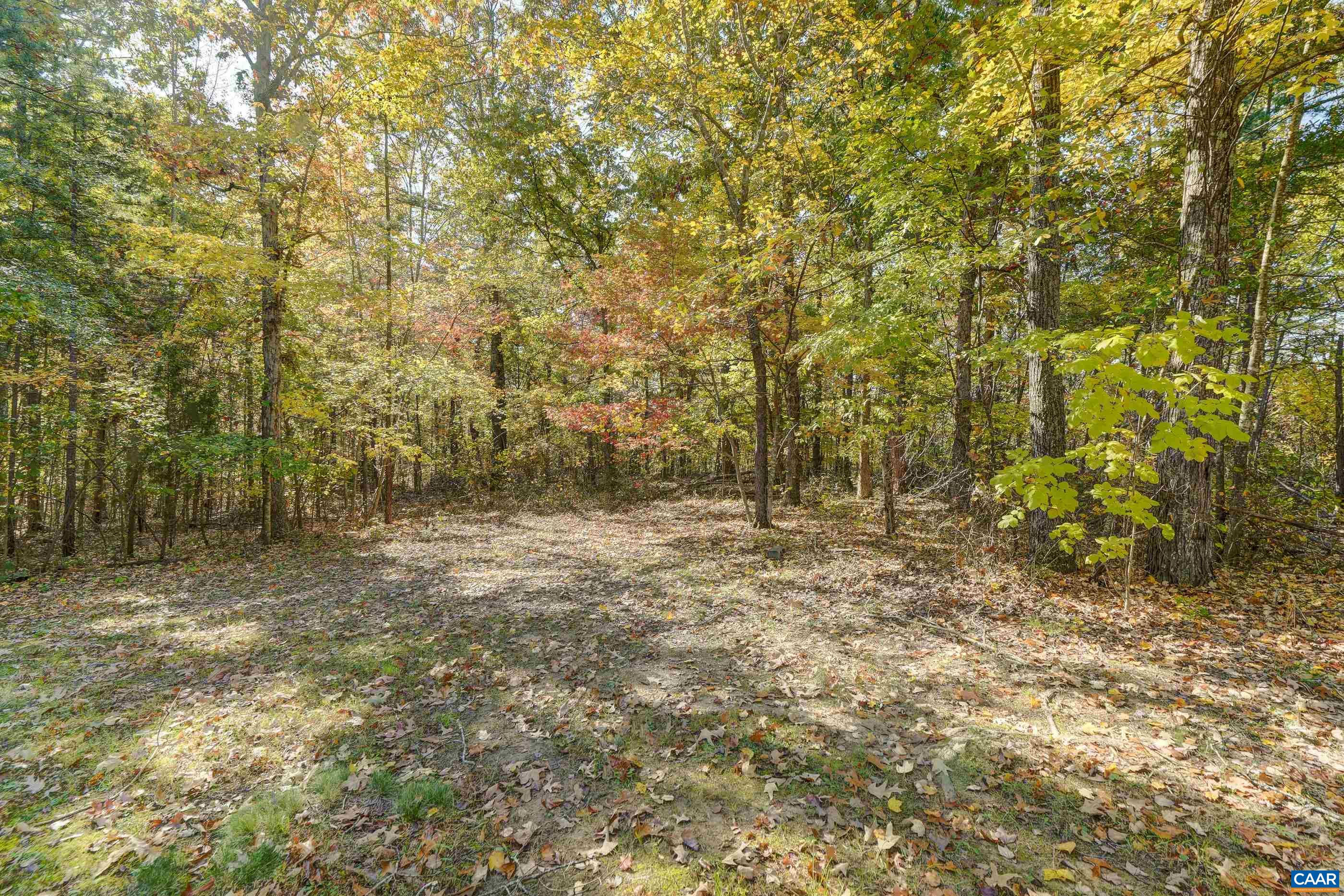 1831 SECRETARYS RD, SCOTTSVILLE, Virginia 24590, 4 Bedrooms Bedrooms, ,3 BathroomsBathrooms,Residential,1831 SECRETARYS RD,683510 MLS # 683510 1831 SECRETARYS RD, SCOTTSVILLE, Virginia 24590, 4 Bedrooms Bedrooms, ,3 BathroomsBathrooms,Residential,1831 SECRETARYS RD,683510 MLS # 683510
