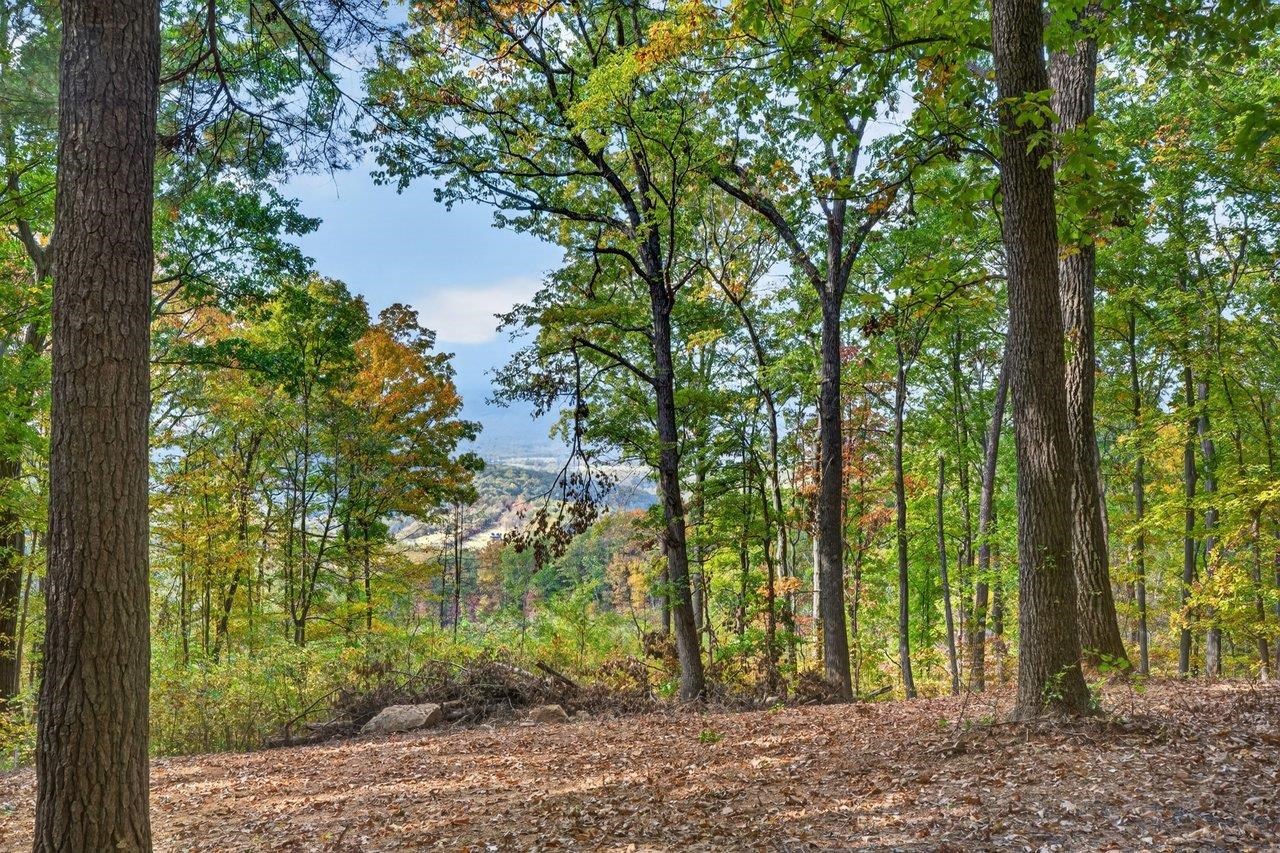 698 VALLEY VIEW RD, RILEYVILLE, Virginia 22650, 1 Bedroom Bedrooms, ,1 BathroomBathrooms,Residential,698 VALLEY VIEW RD,683496 MLS # 683496 698 VALLEY VIEW RD, RILEYVILLE, Virginia 22650, 1 Bedroom Bedrooms, ,1 BathroomBathrooms,Residential,698 VALLEY VIEW RD,683496 MLS # 683496
