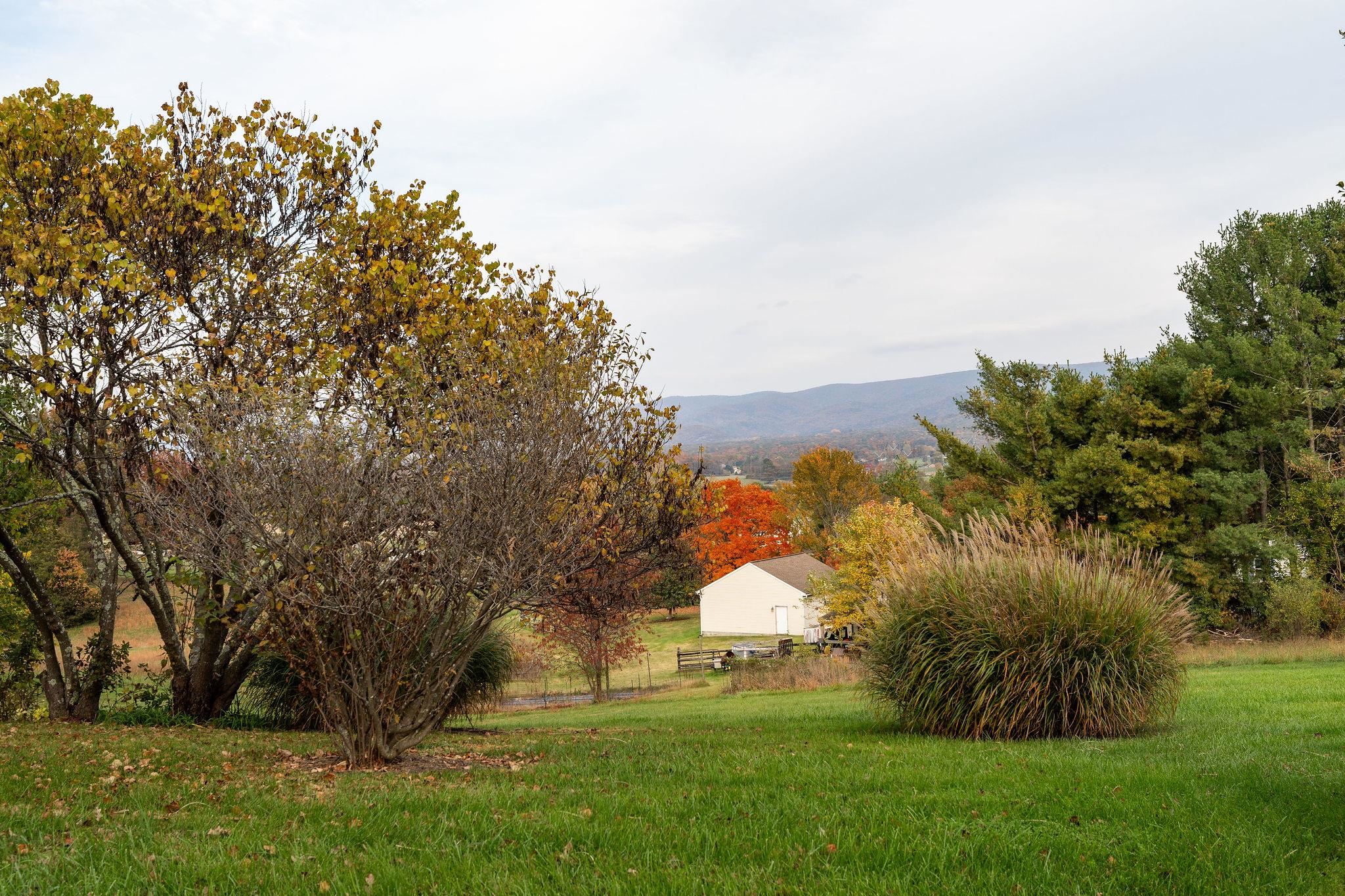 336 GEORGE HOME RD, WAYNESBORO, Virginia 22980, 3 Bedrooms Bedrooms, ,2 BathroomsBathrooms,Residential,336 GEORGE HOME RD,683591 MLS # 683591 336 GEORGE HOME RD, WAYNESBORO, Virginia 22980, 3 Bedrooms Bedrooms, ,2 BathroomsBathrooms,Residential,336 GEORGE HOME RD,683591 MLS # 683591