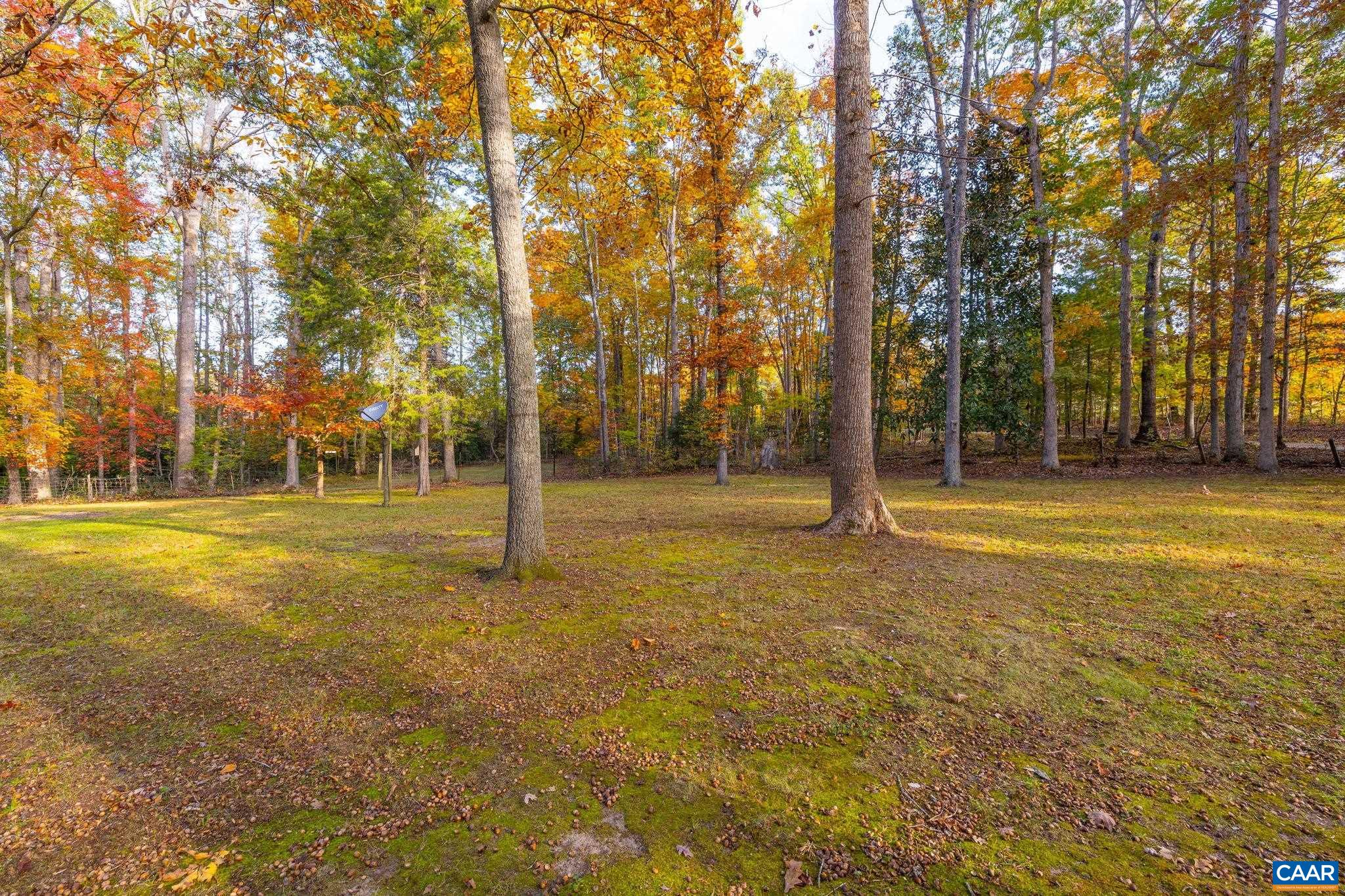 314 CEDAR BLUFF, LOUISA, Virginia 23093, 3 Bedrooms Bedrooms, ,3 BathroomsBathrooms,Residential,314 CEDAR BLUFF,683600 MLS # 683600