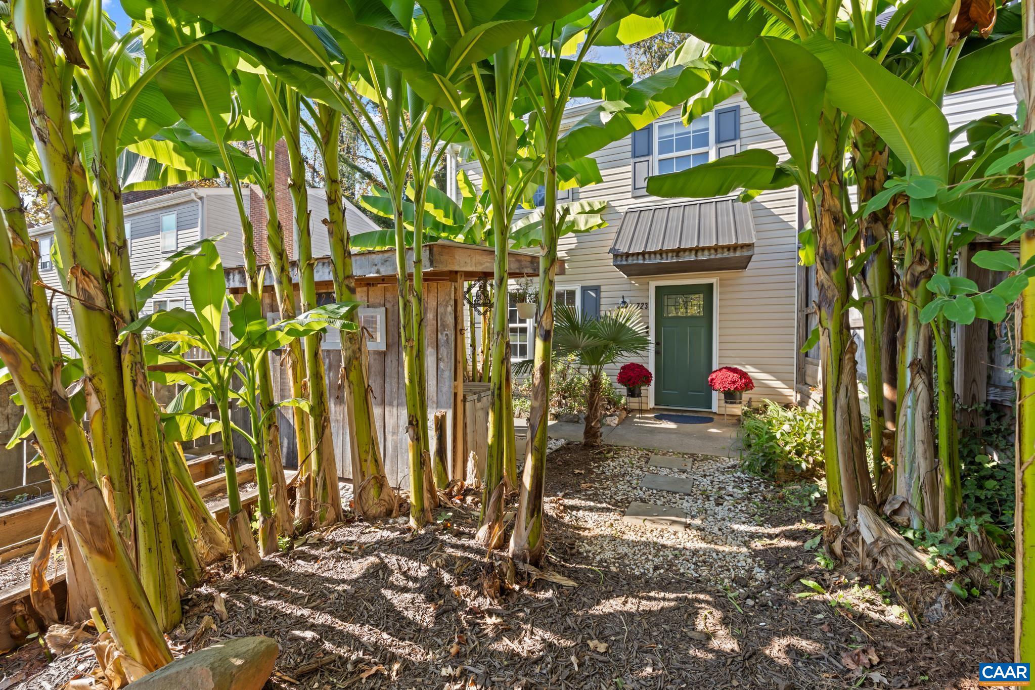 723 ORANGEDALE AVE, CHARLOTTESVILLE, Virginia 22903, 2 Bedrooms Bedrooms, ,1 BathroomBathrooms,Residential,Orangedale Oasis,723 ORANGEDALE AVE,683626 MLS # 683626